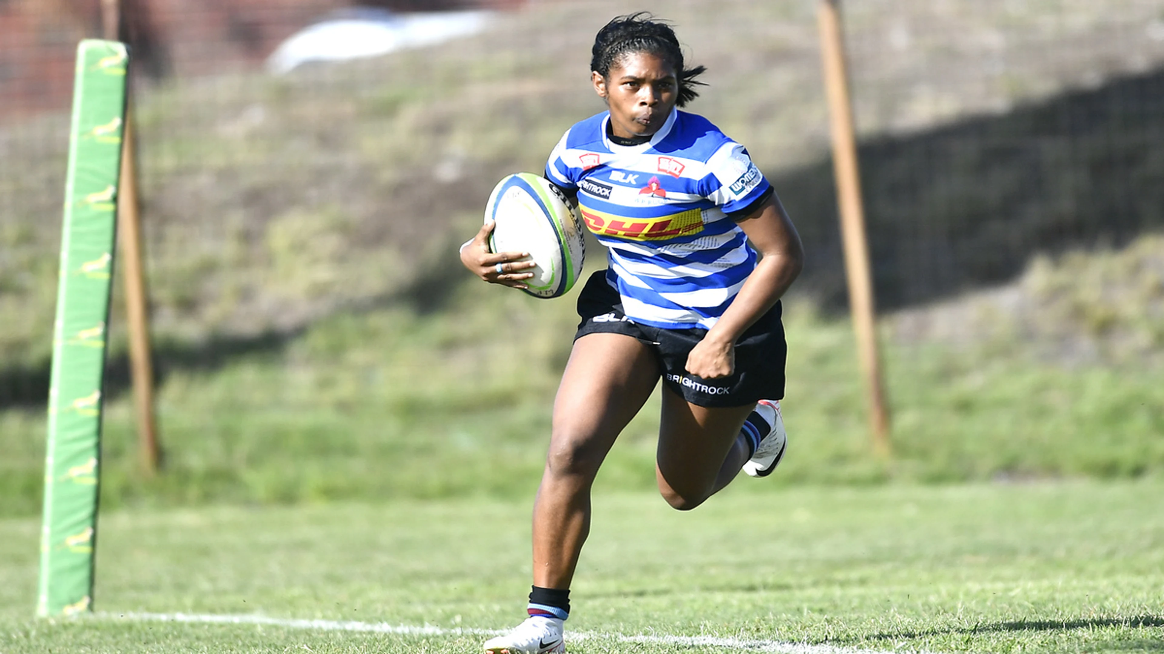 WP overpower Daisies as Sharks find their groove