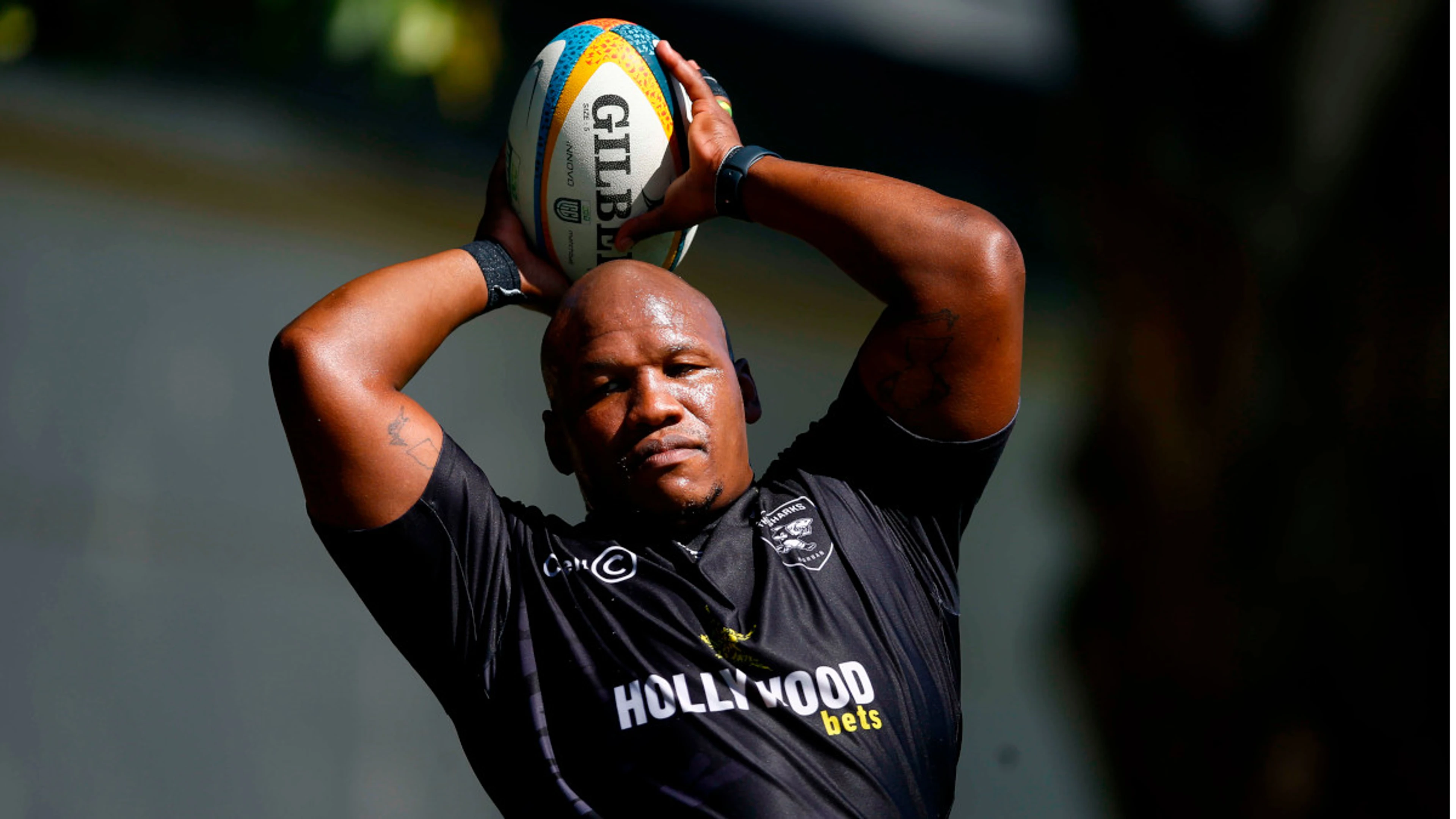 Bongi and Eben return to bolster Sharks