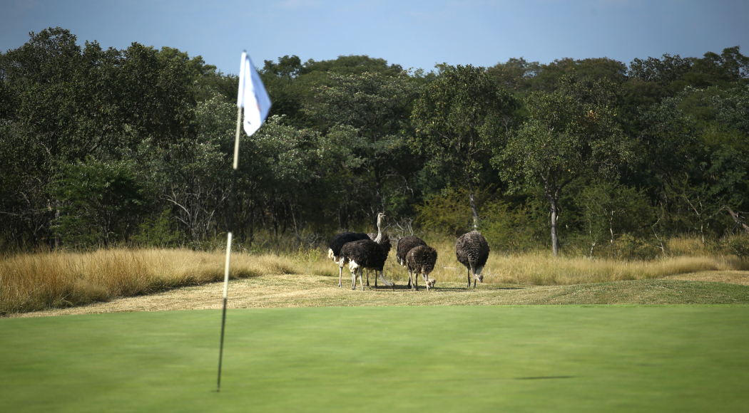 SDC Open’s bushveld bliss suits SA pros