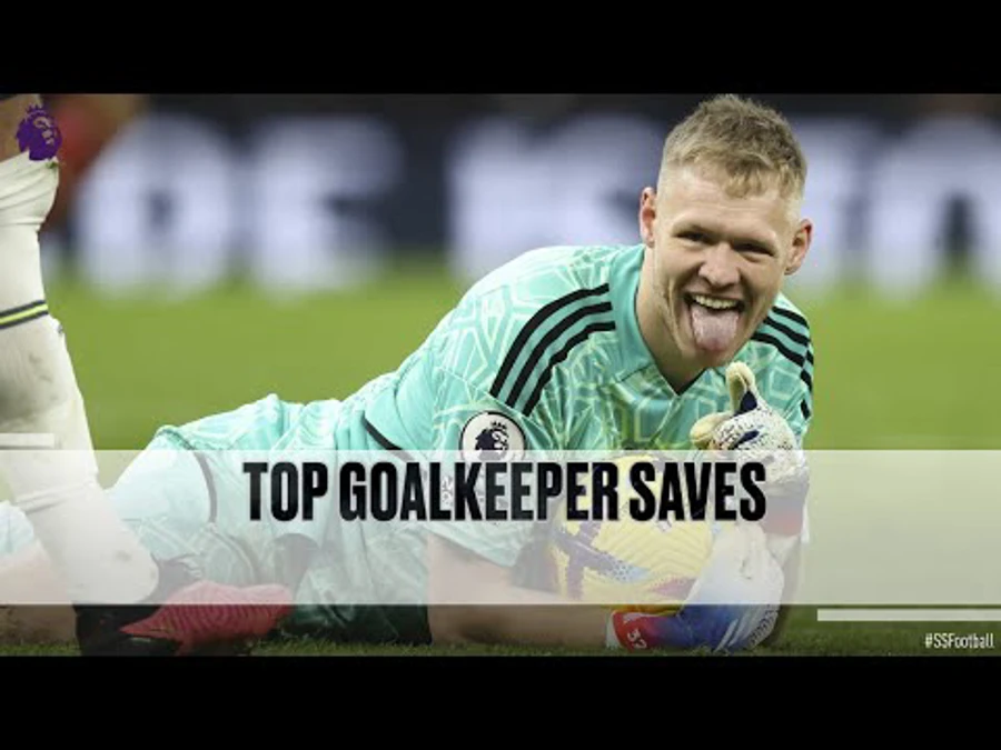 top 10 goalkeeper penalty saves premier league