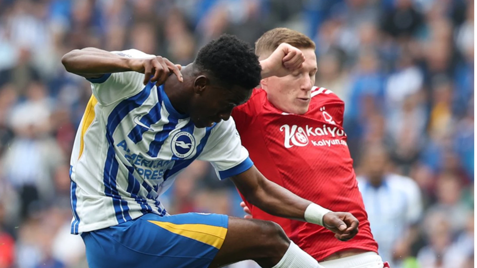 Brighton and Forest slug out eventful  draw