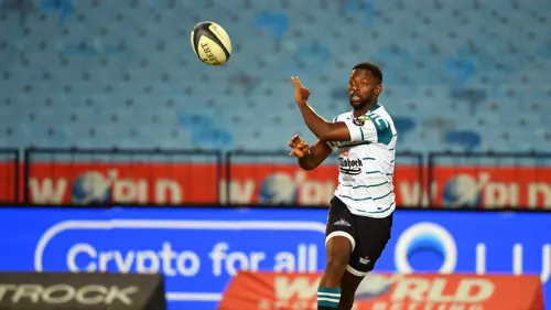 Griquas dominate WP to win in style