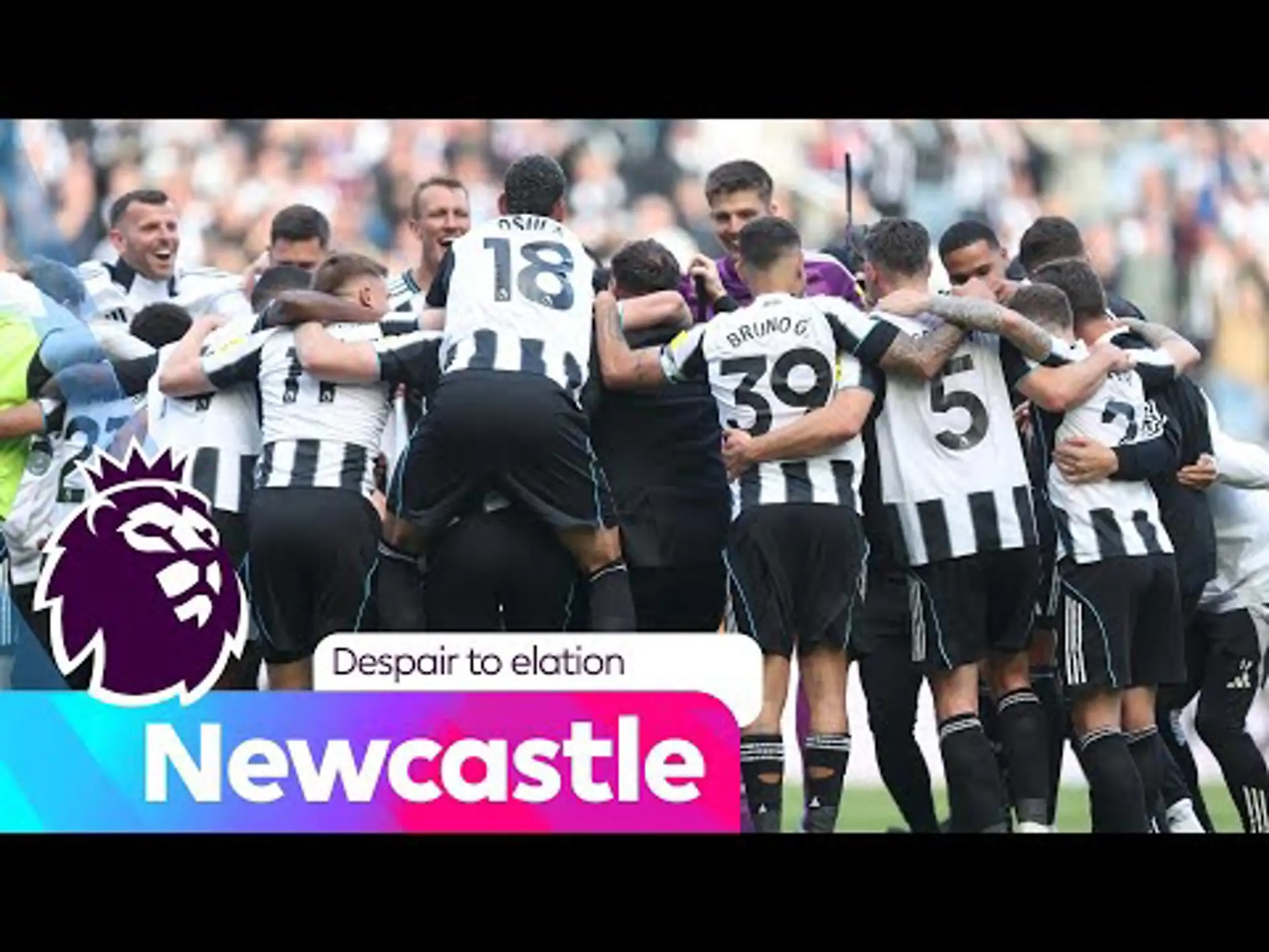 Despair to Elation | Newcastle United | Premier League