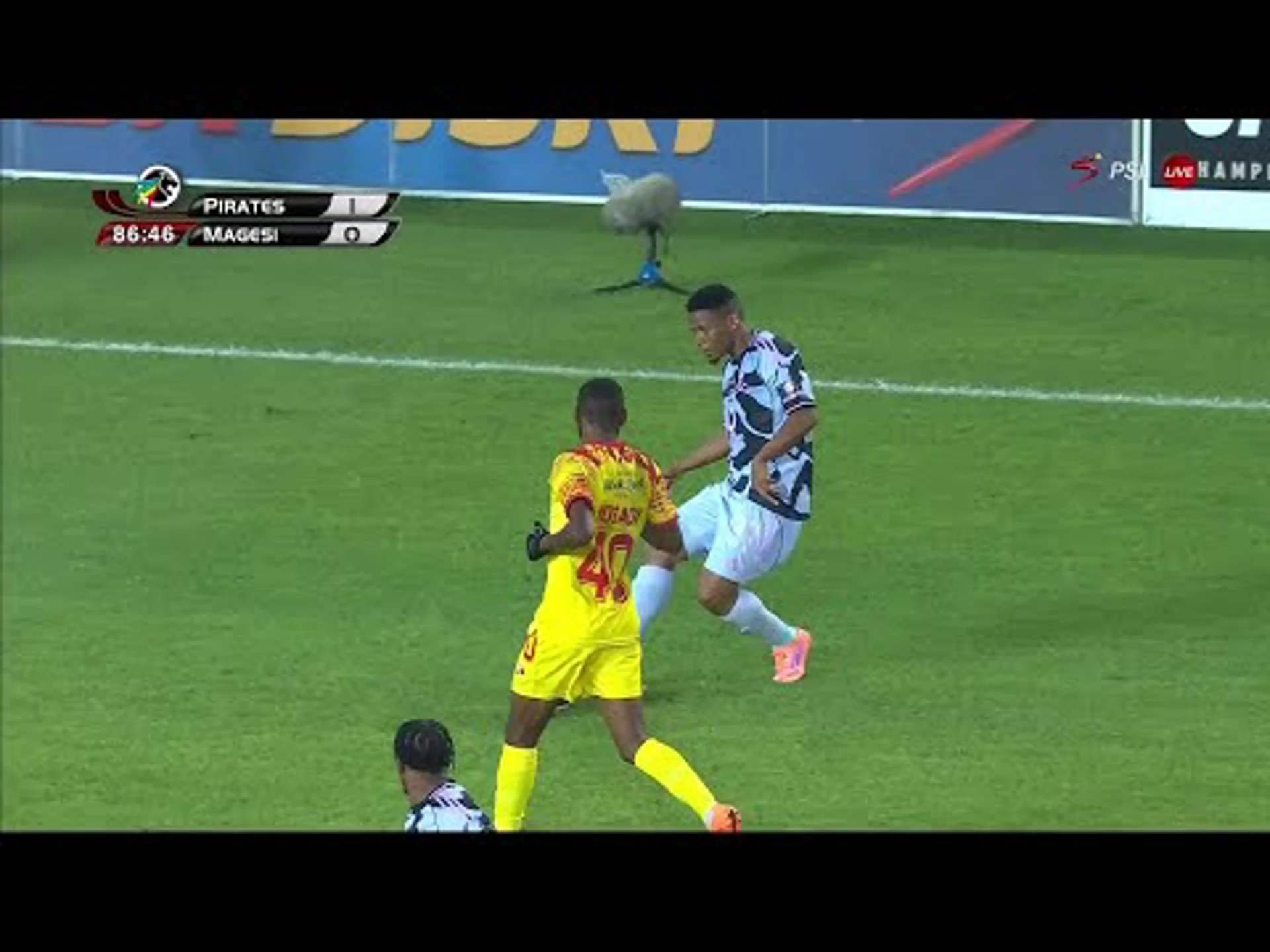 Evidence Makgopa | 87ᵗʰ Minute Goal v Magesi