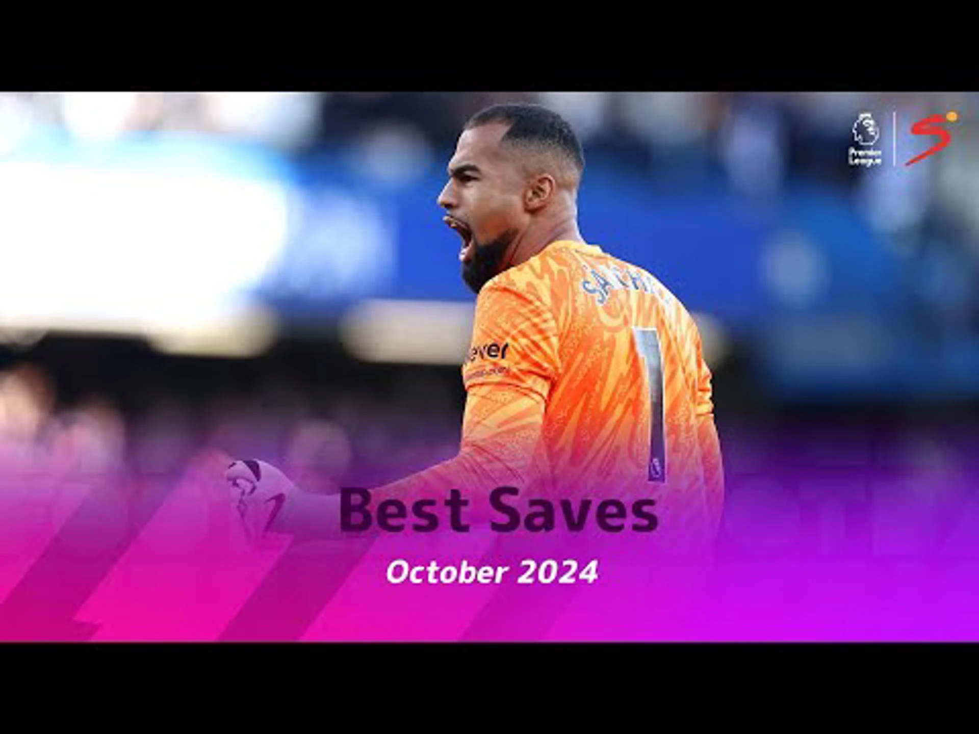 Best Saves | October 2024 | Premier League