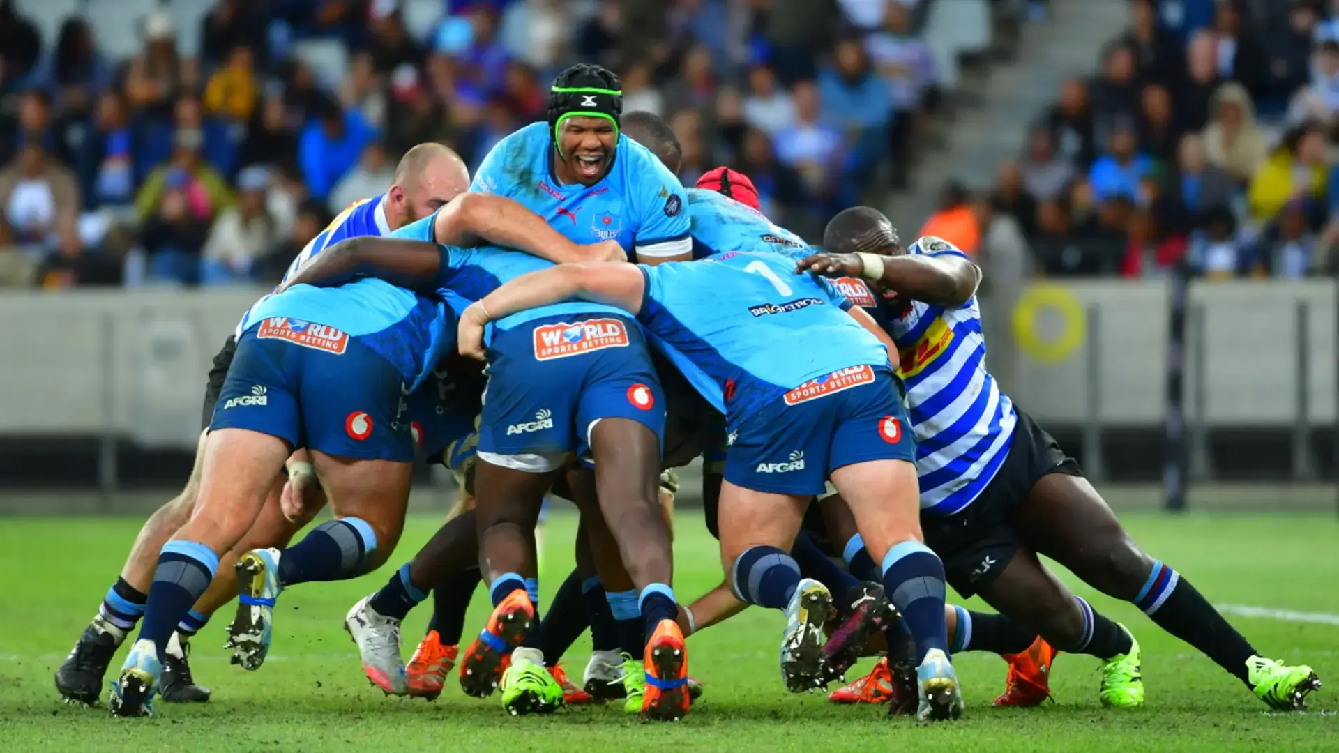 PACKING A PUNCH: Bulls' first-half blitz stuns WP