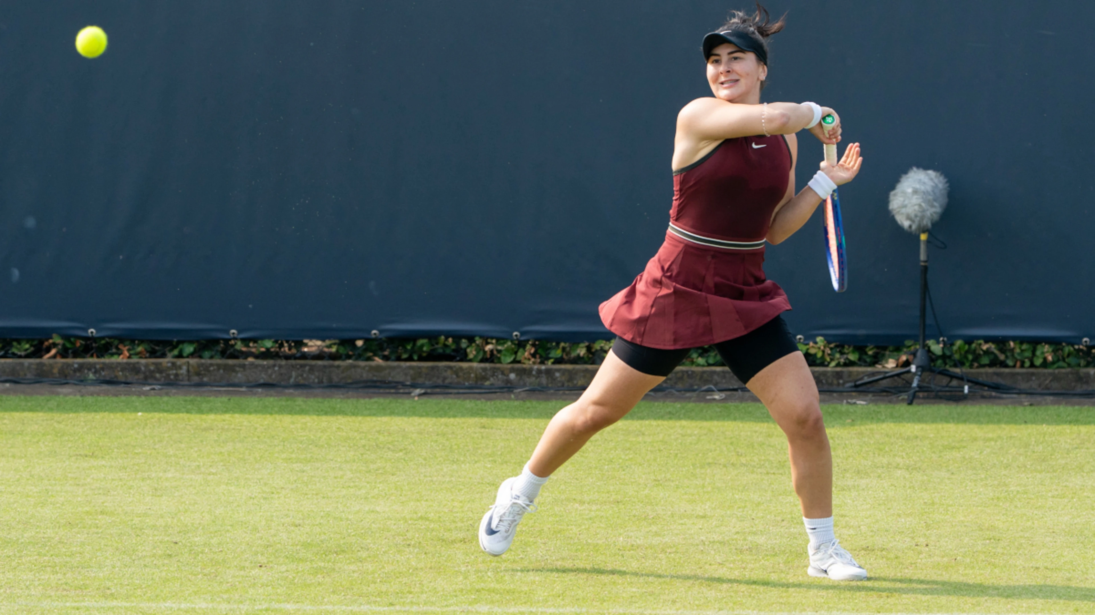 Andreescu and Alexandrova off to winning start as rain stops play in 's-Hertogenbosch