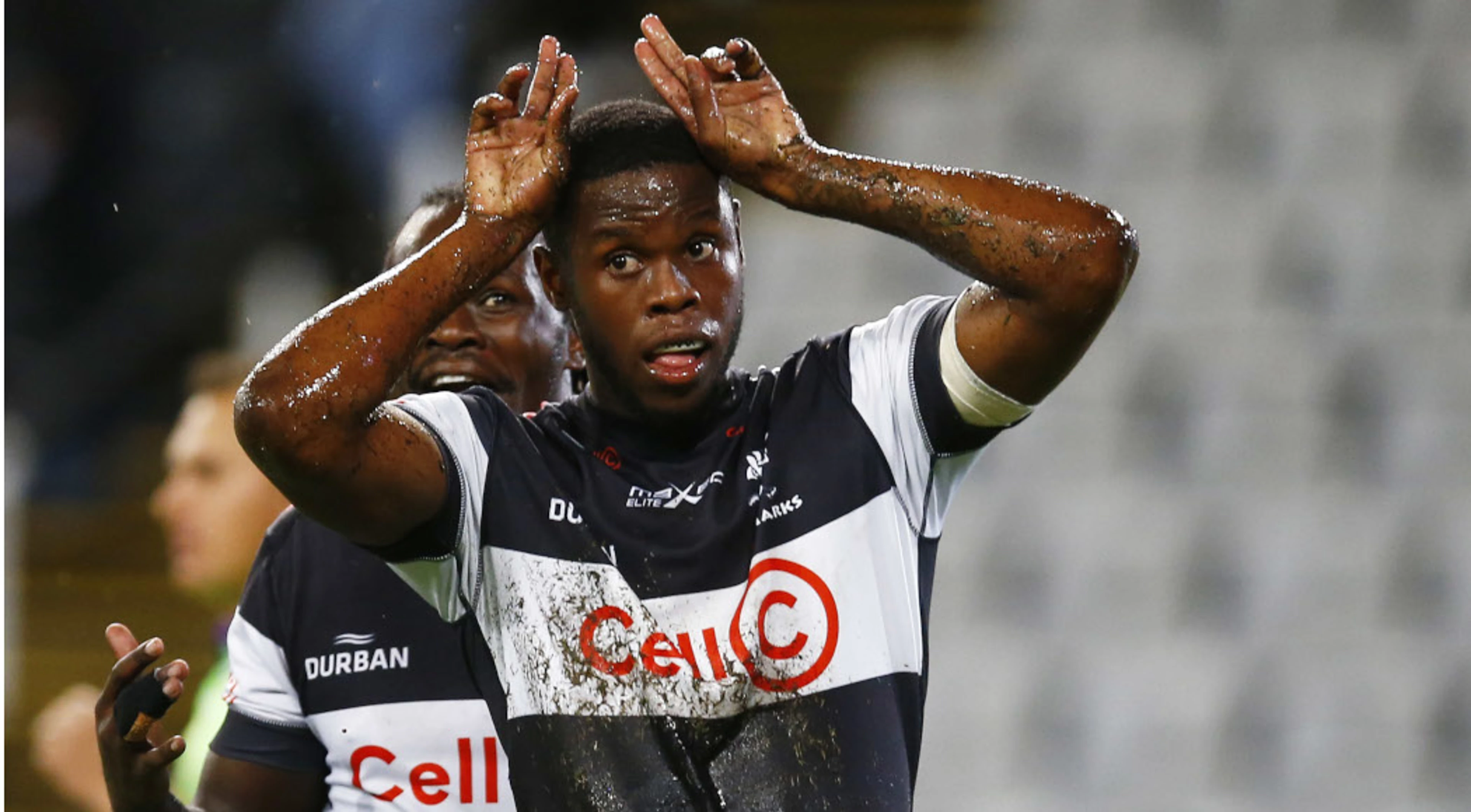 Sharks go top with bonus-point win over Cheetahs