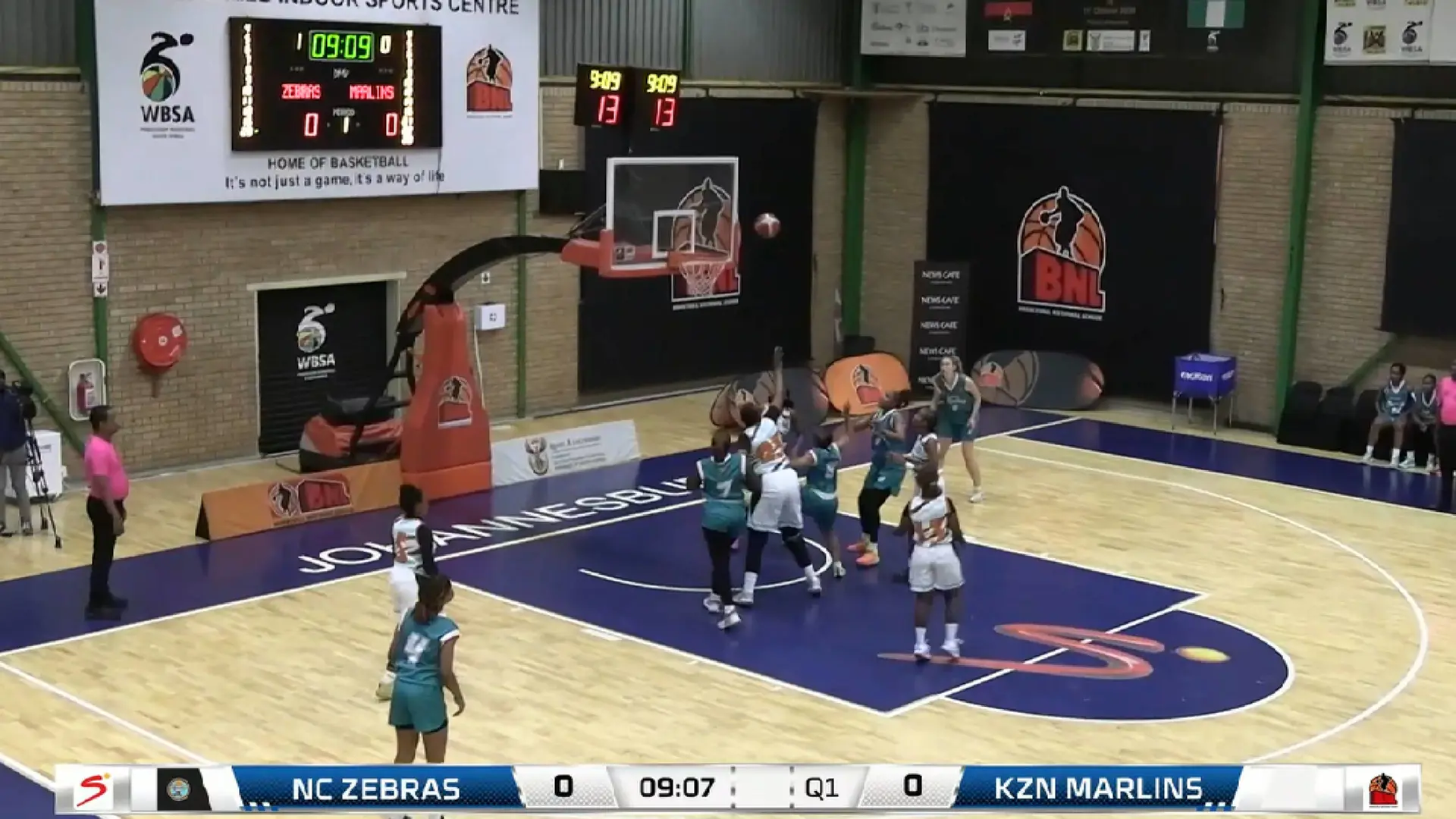 Zebras v Marlins | Match Highlights | Women's BNL