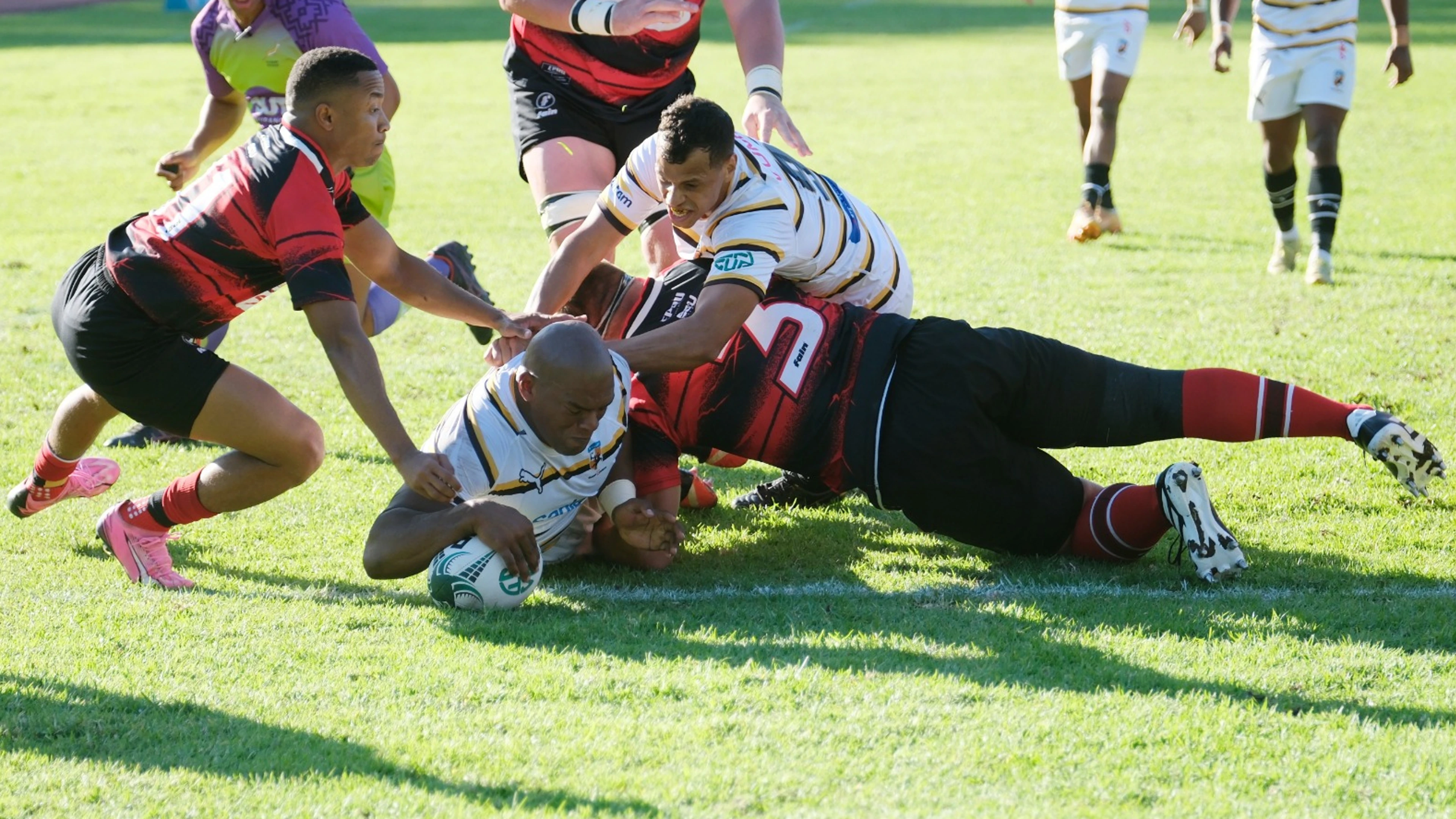 Cavaliers qualify for Currie Cup Premier Division