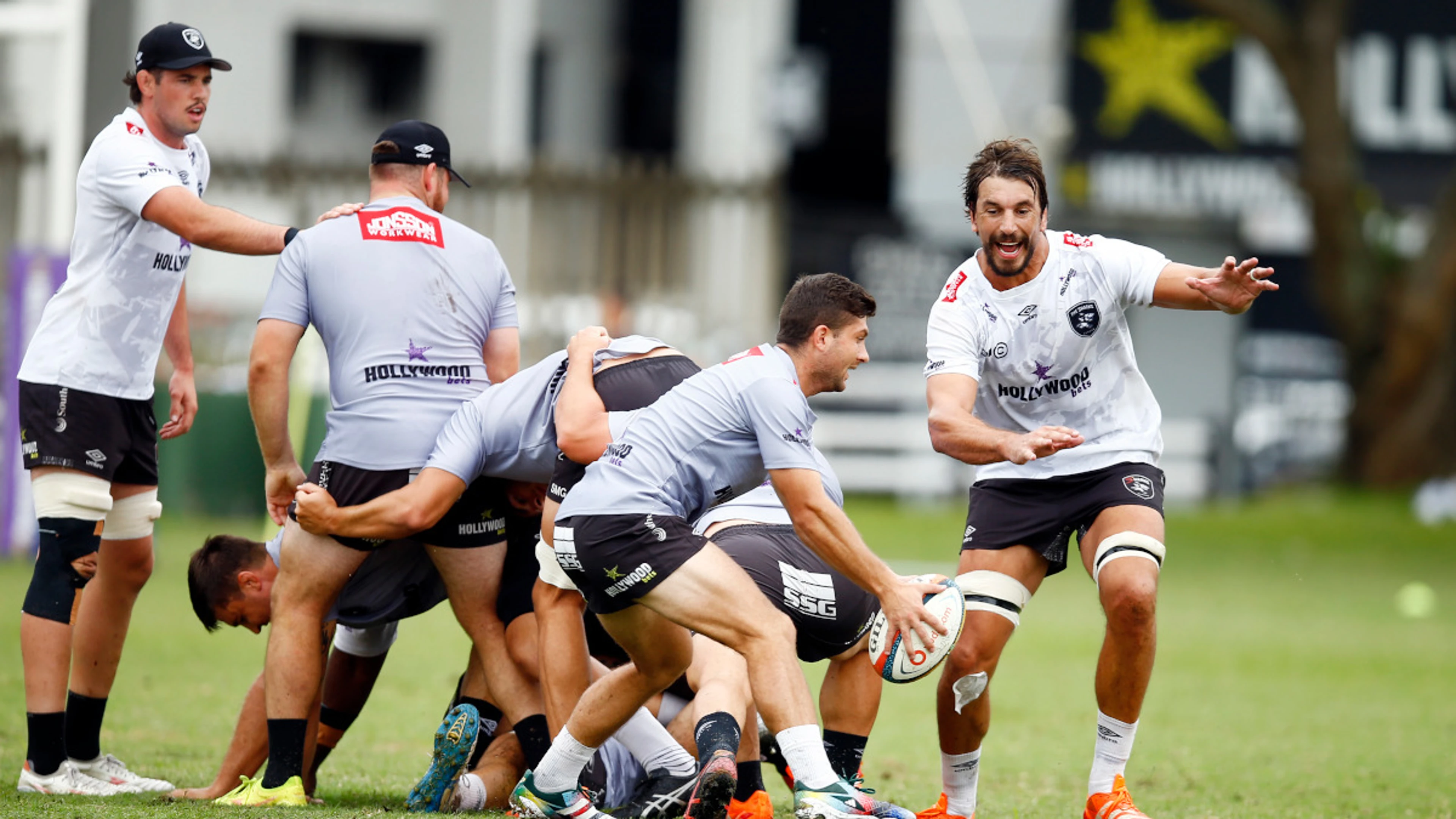 Sharks out to emulate Bulls by breaking new ground