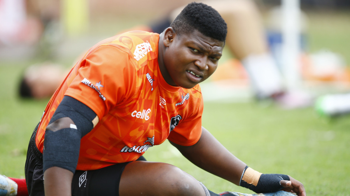 Stormers confirm signing of Sharks’ 'new Beast'