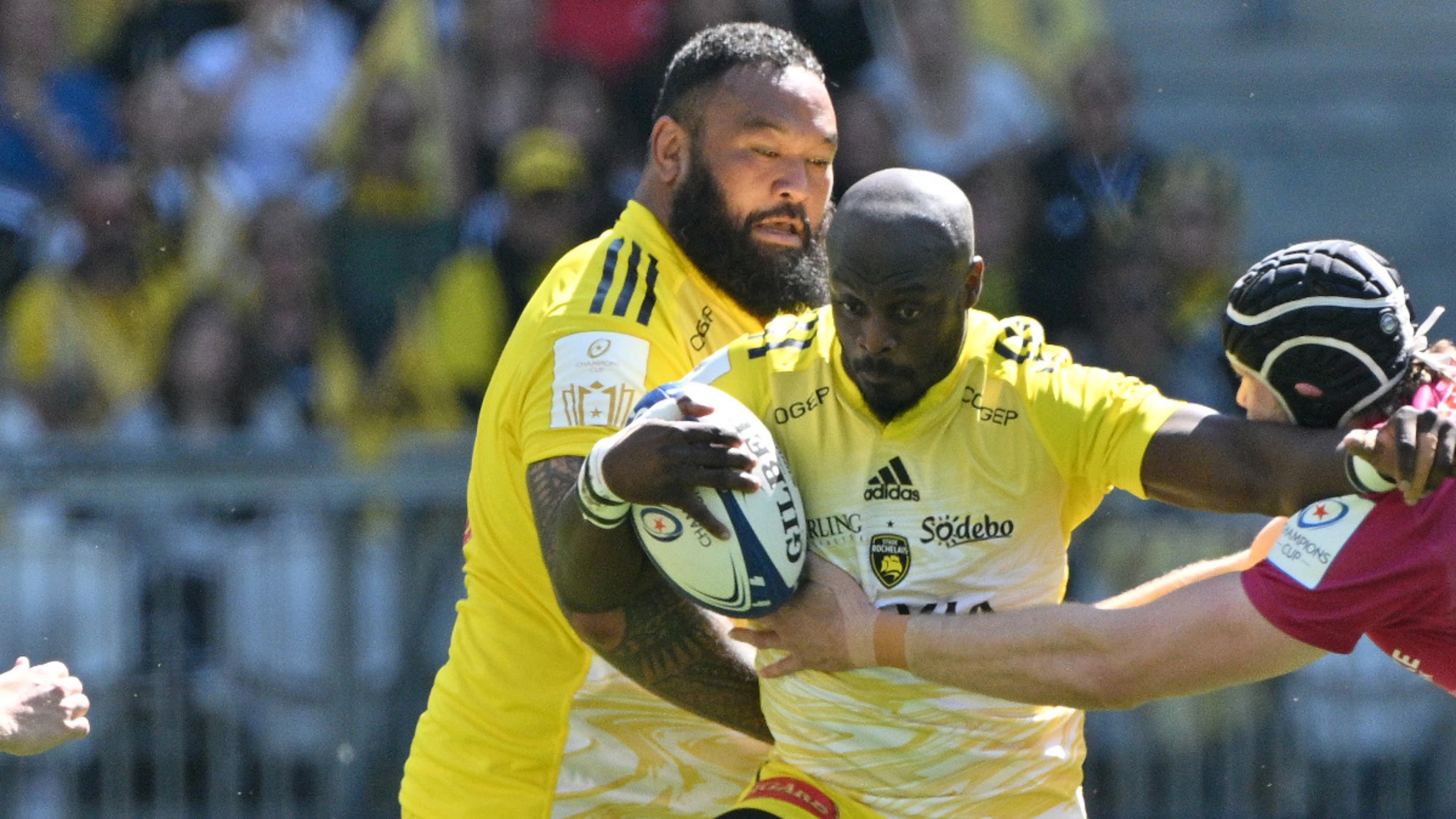 Pro14 glory was a bridge too far Springboks Dillyn Leyds and Raymond Rhule