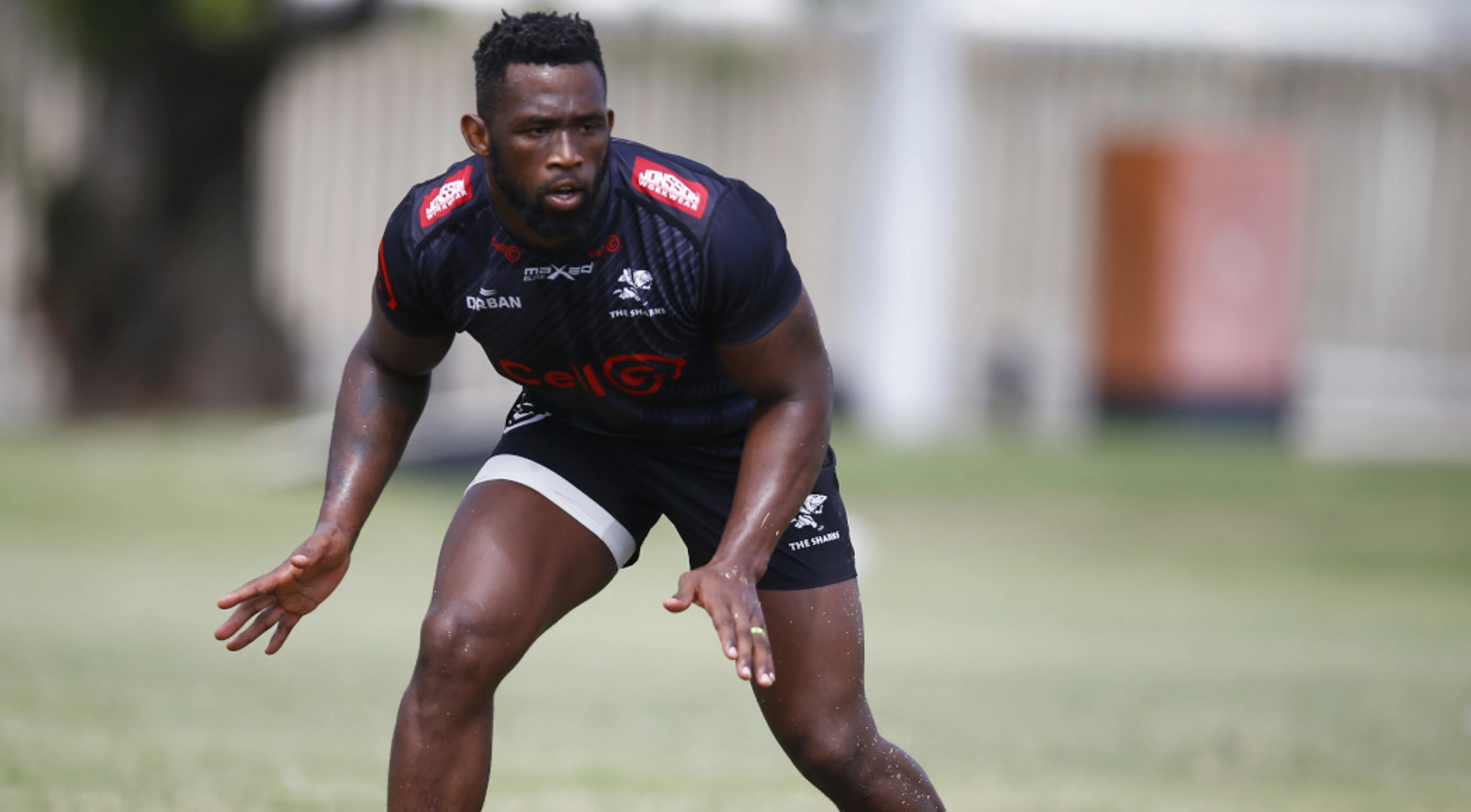 Sharks coach demands a team performance against Munster