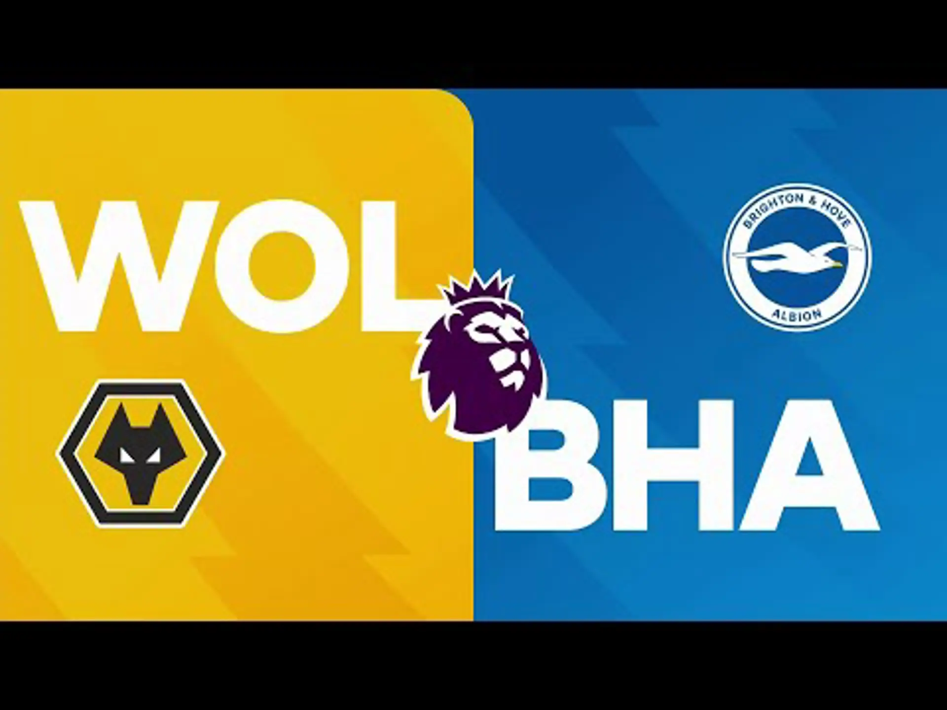 Wolverhampton Wanderers v Brighton & Hove Albion | Match Preview | Premier League Matchday 36