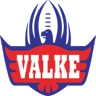 Valke logo