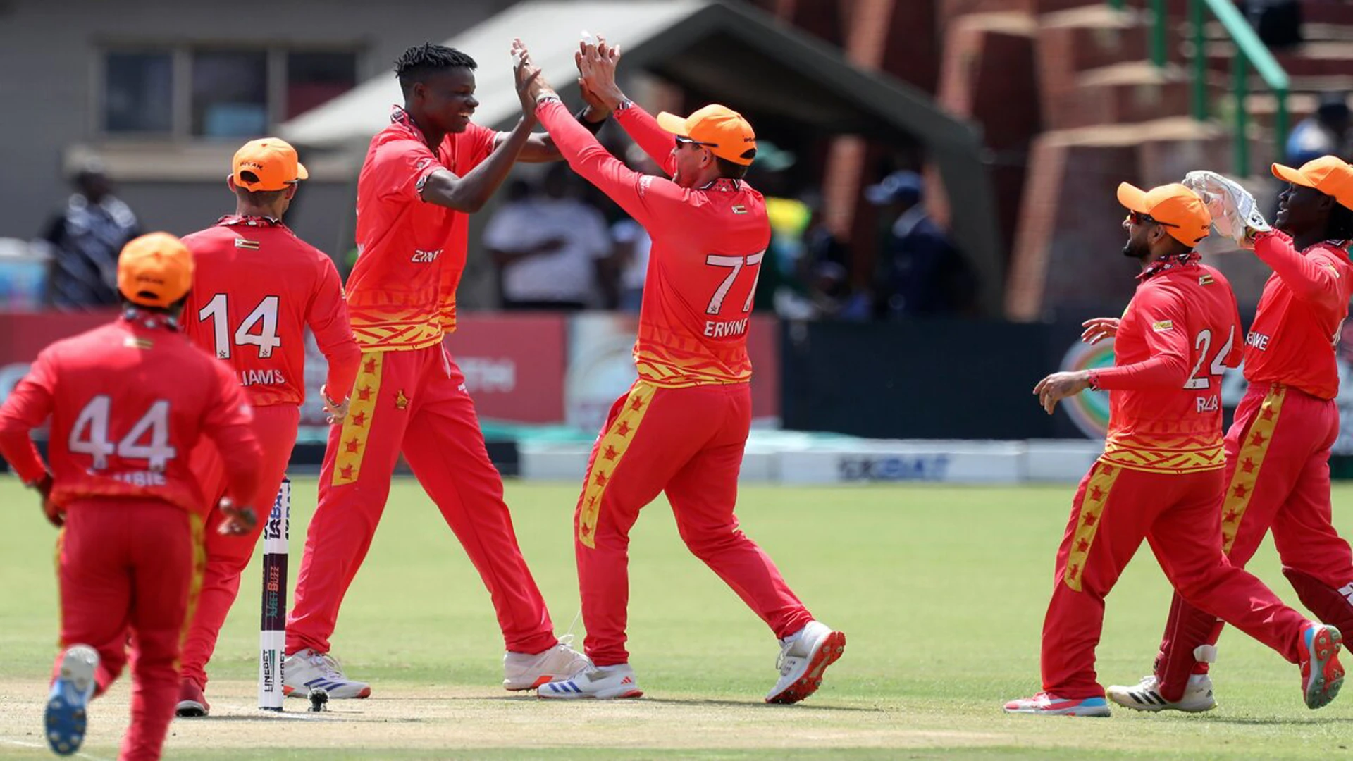 Zimbabwe upset Pakistan in opening clash of ODI series