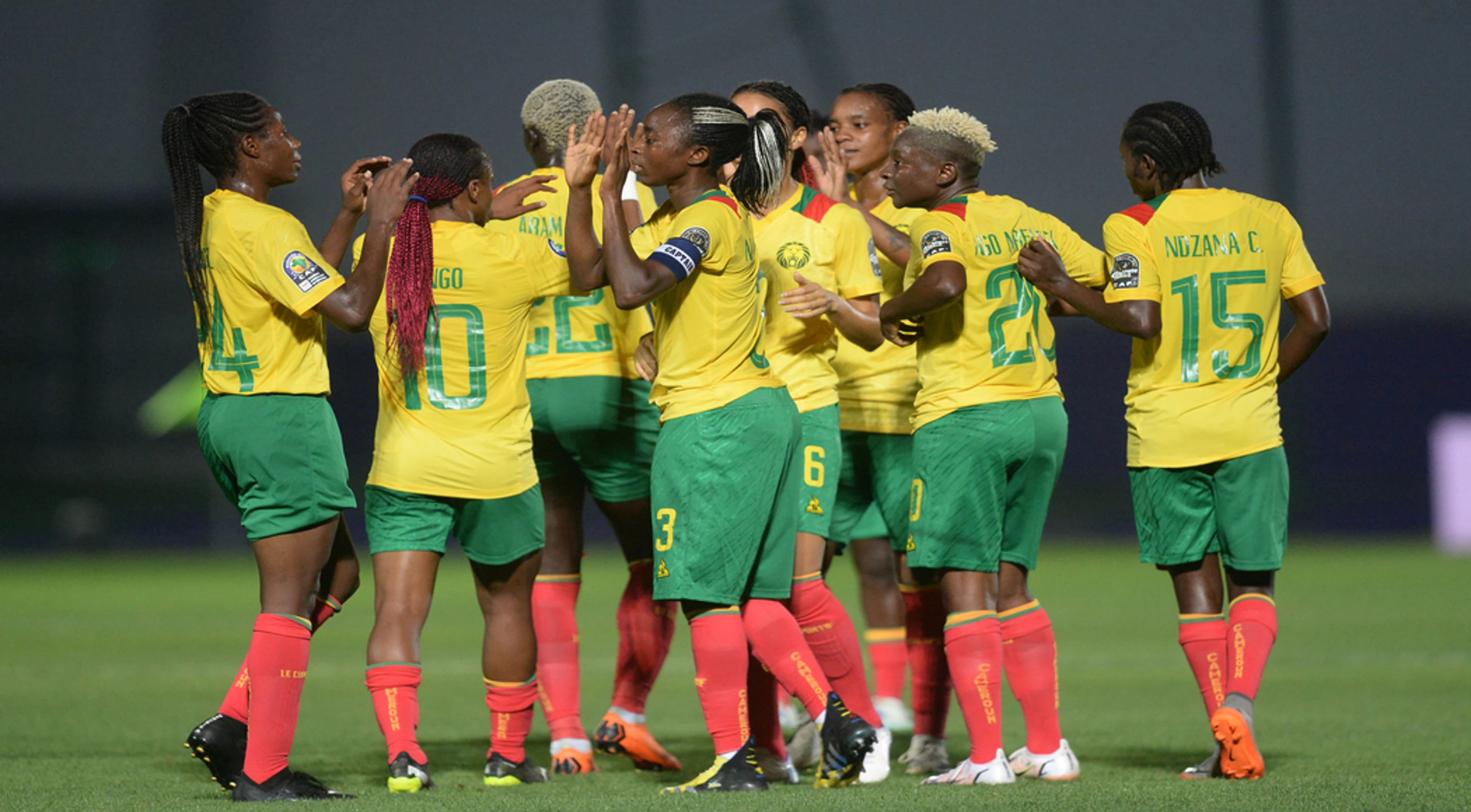 Cameroon into inter-continental playoffs for World Cup