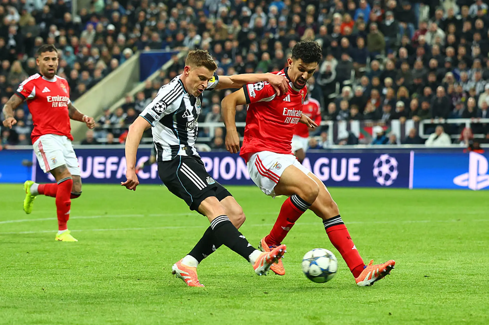 Newcastle v Benfica | Match Highlights | UEFA Champions League