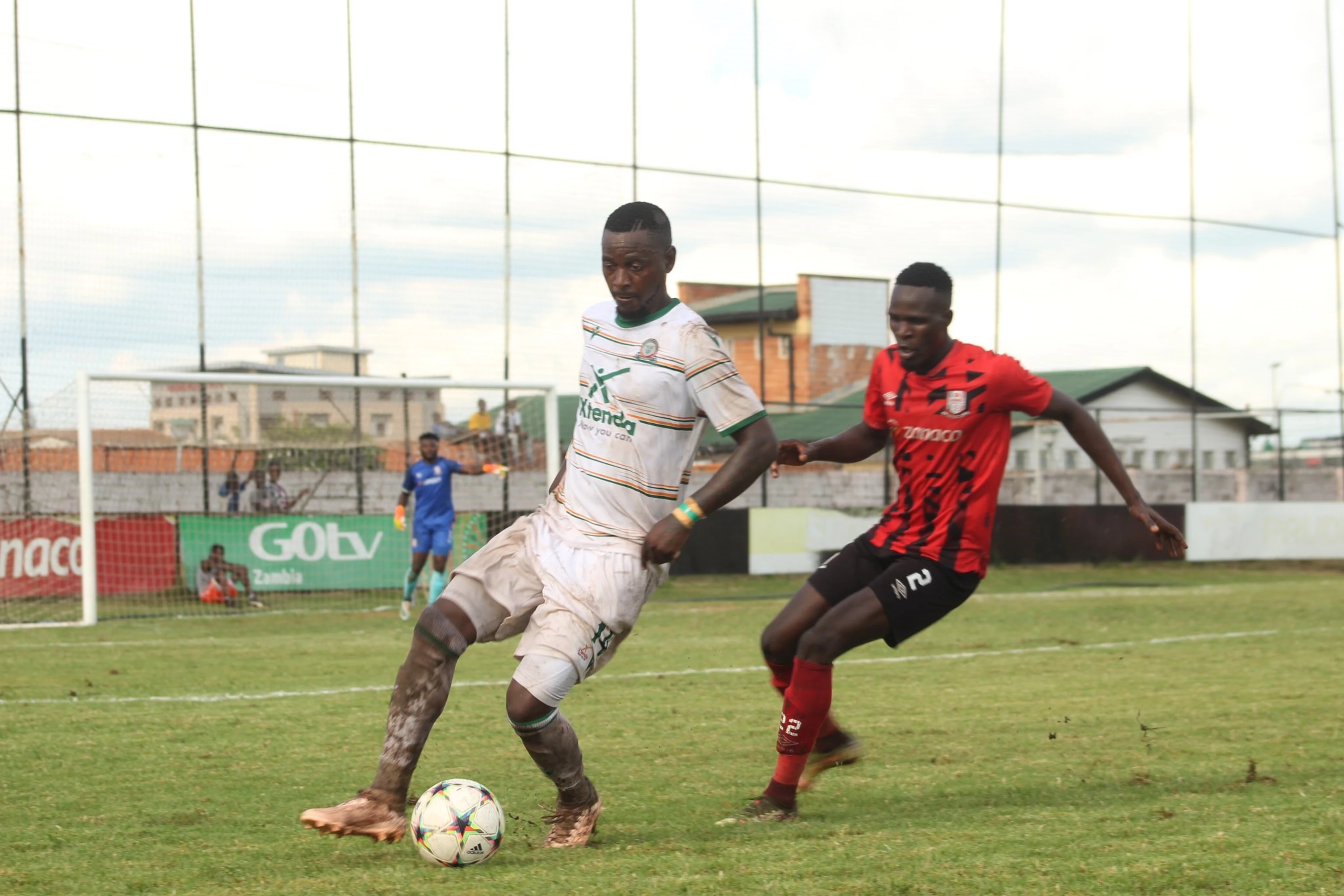 Buffaloes close gap on leaders in MTN Super League