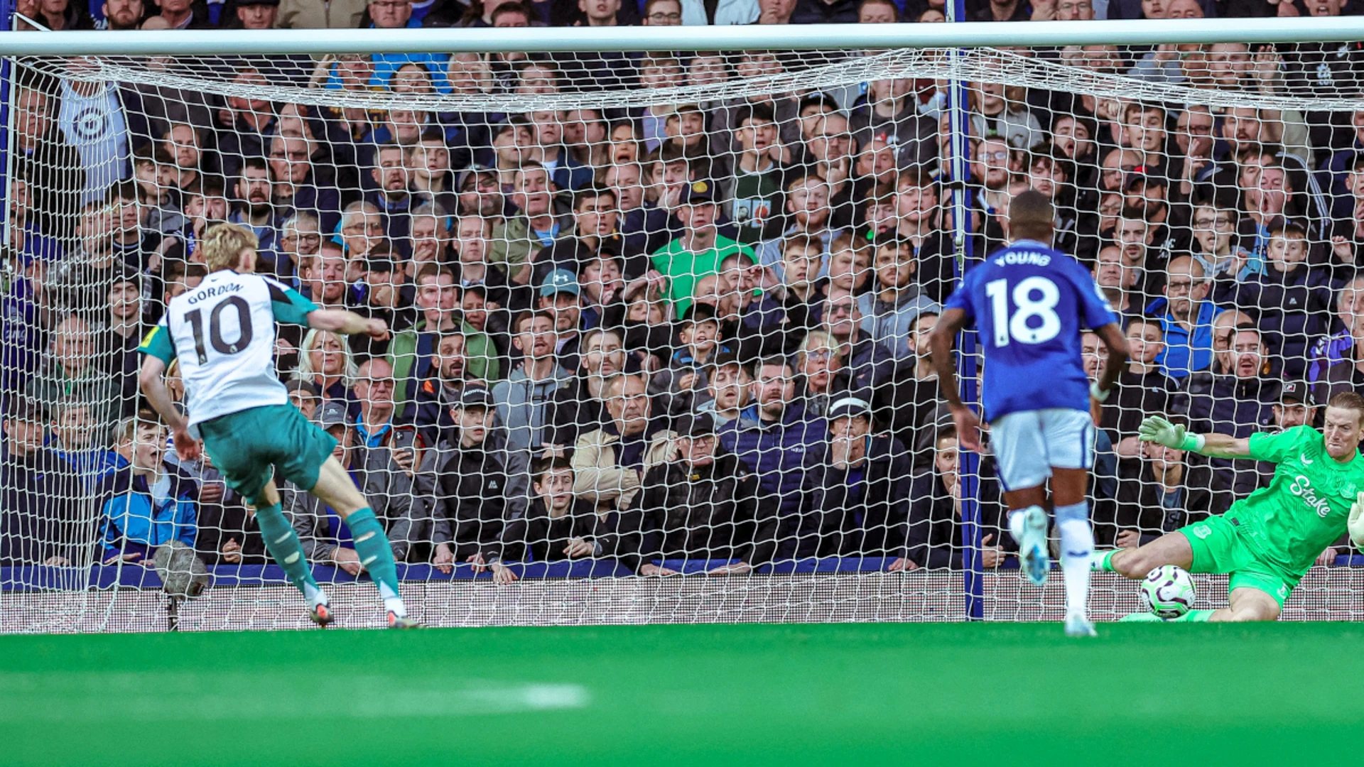 Gordon penalty agony as Newcastle held by Everton