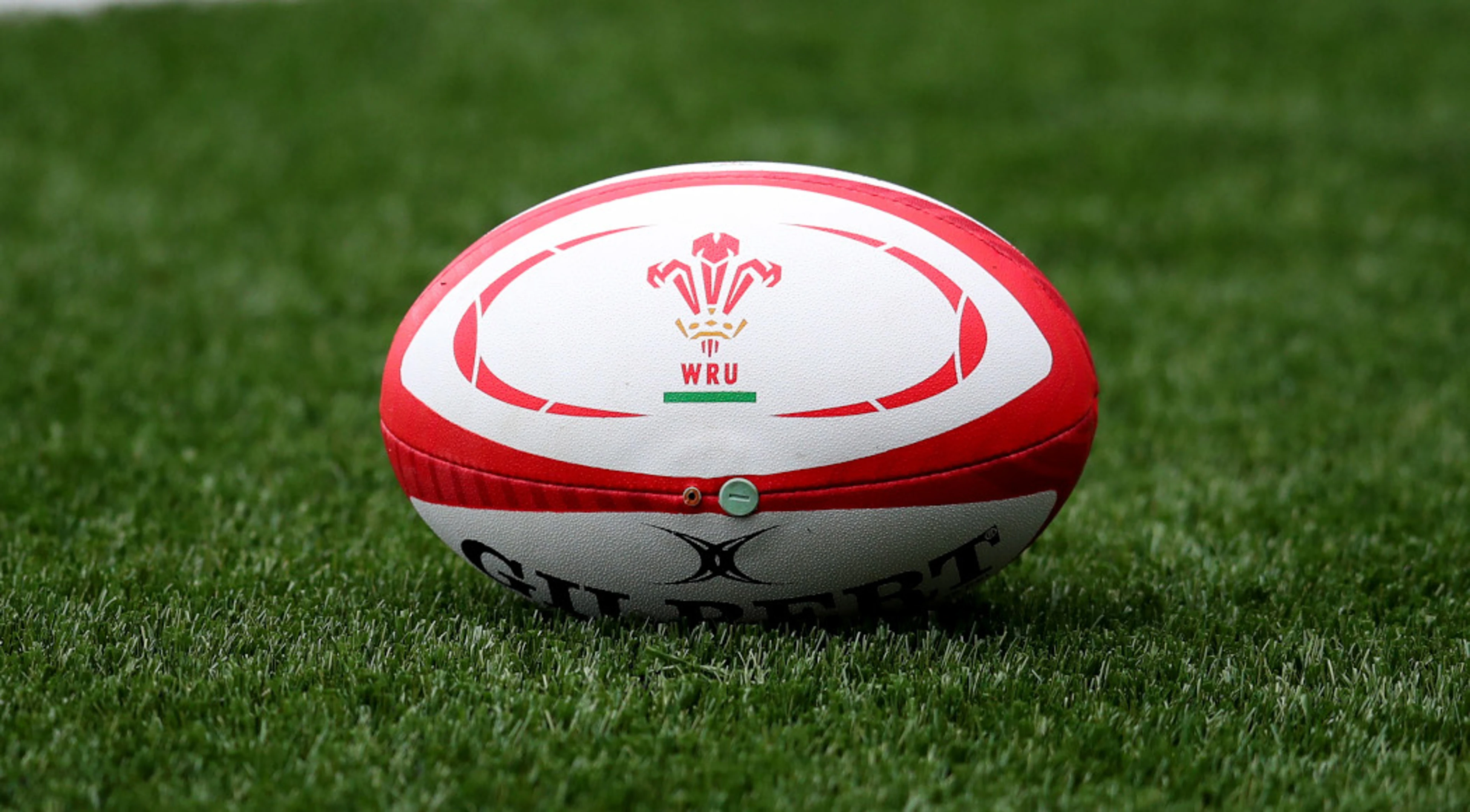 Wales to host southern hemisphere giants in autumn Test series