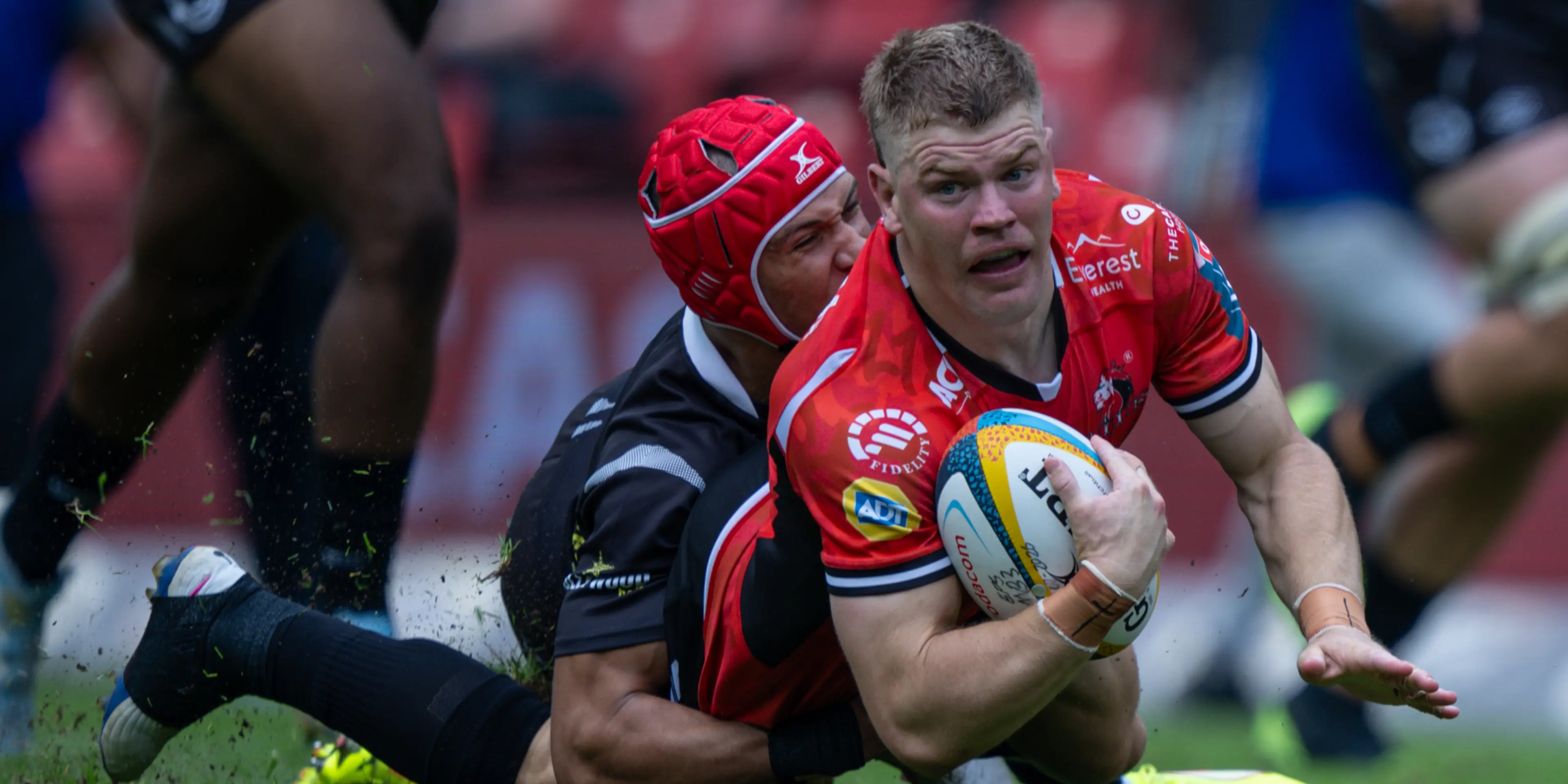 Lions do the double over Sharks