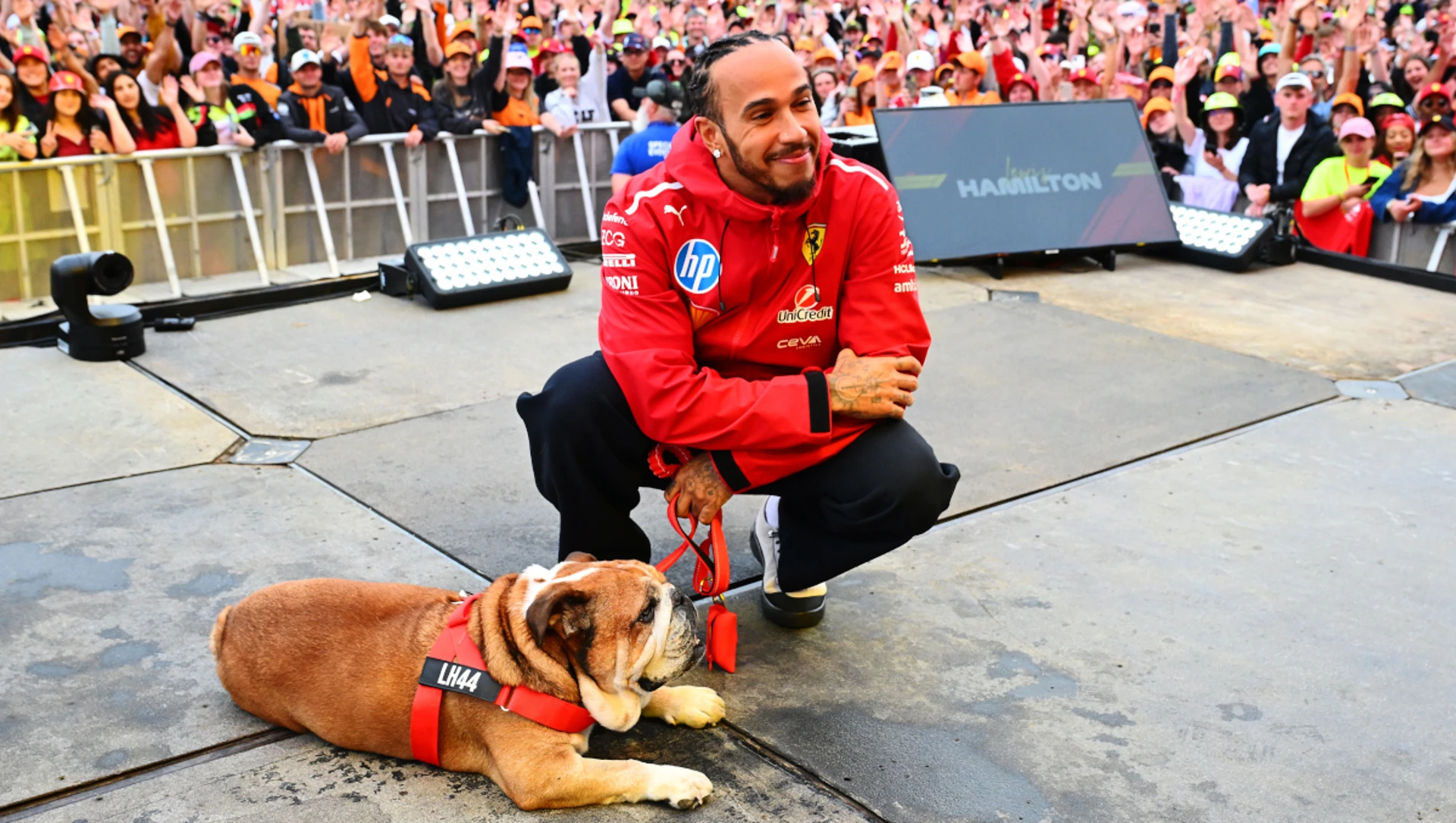 Hamilton mourns death of his bulldog Roscoe