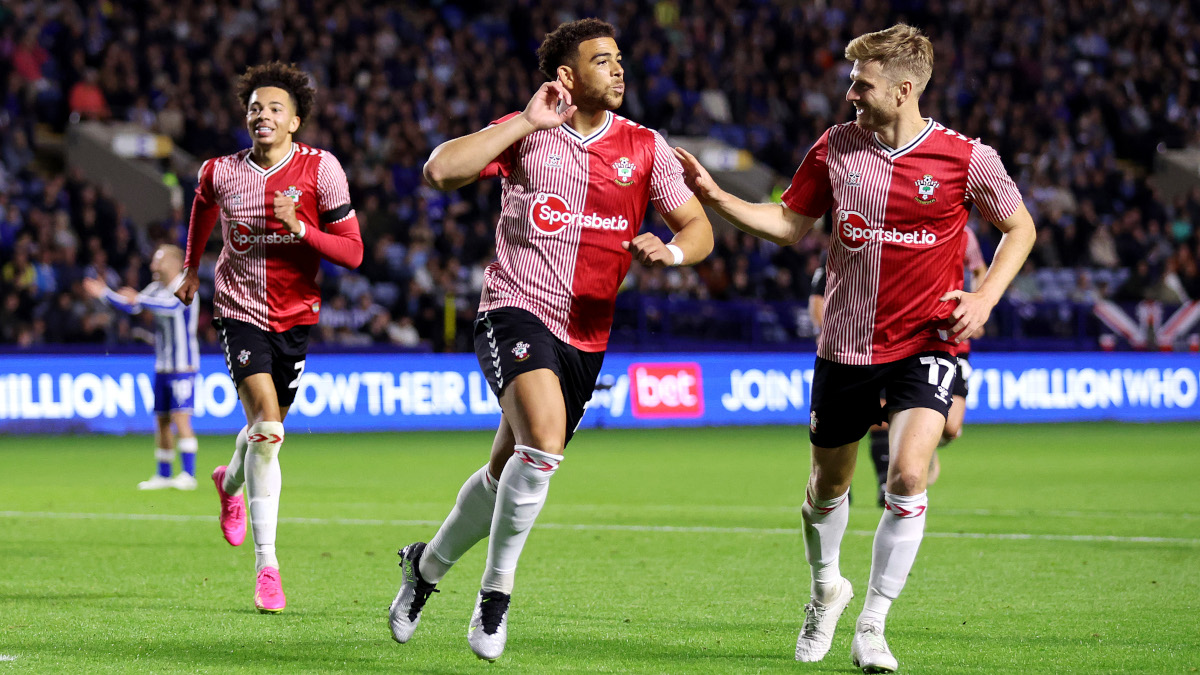 Southampton strike late to launch bid for Premier League return