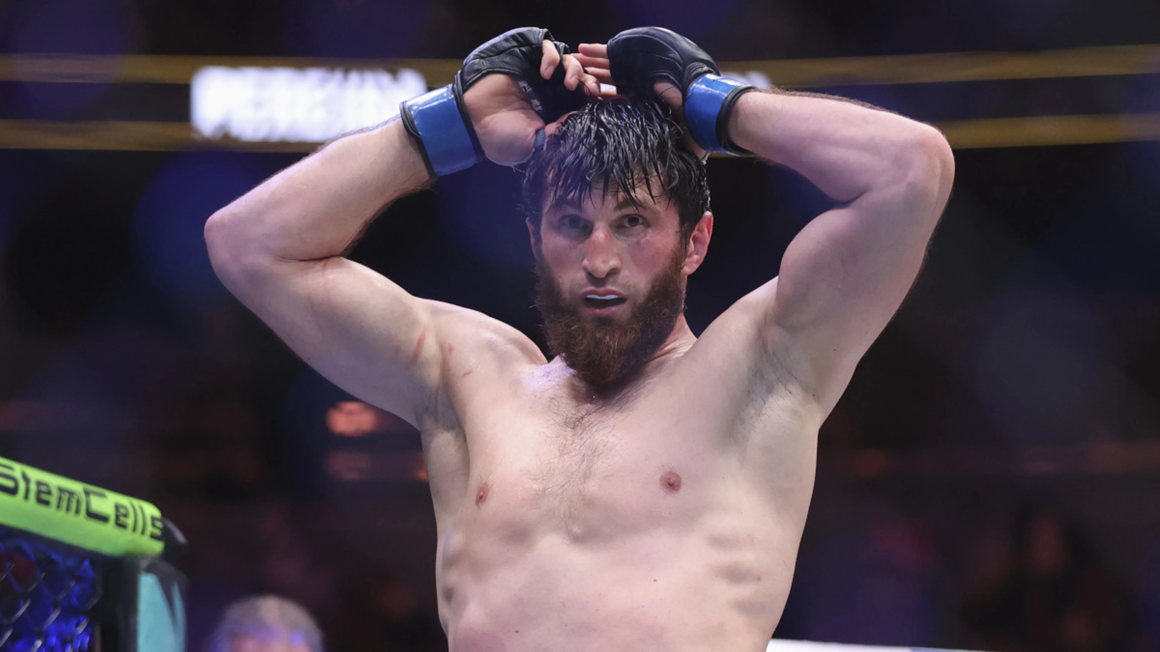 Ankalaev, Pereira run it back