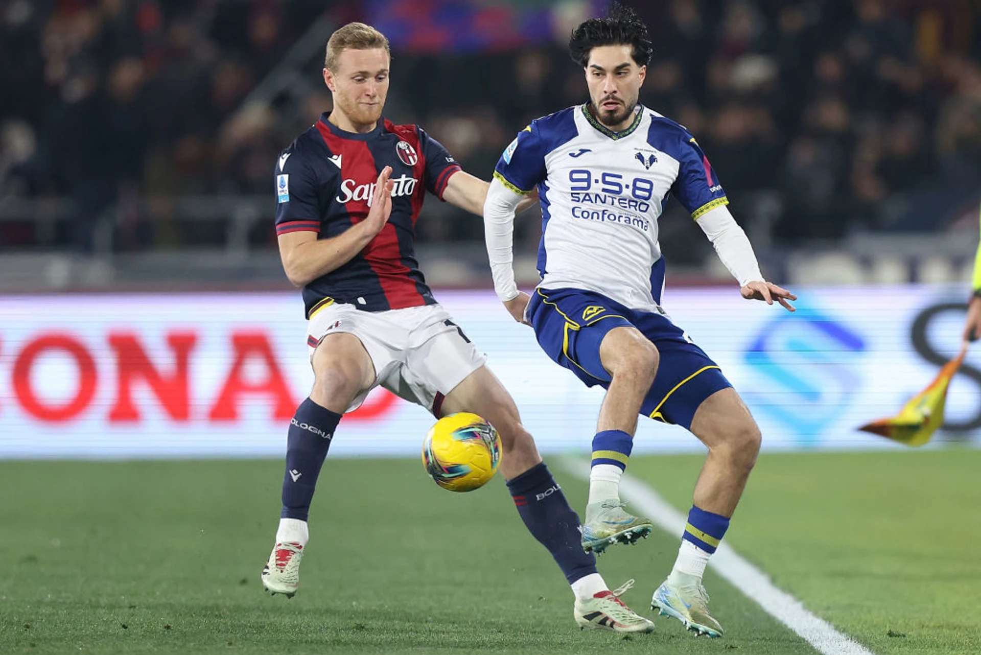 Bologna v Verona | Match Highlights | Italian Serie A Matchday 18