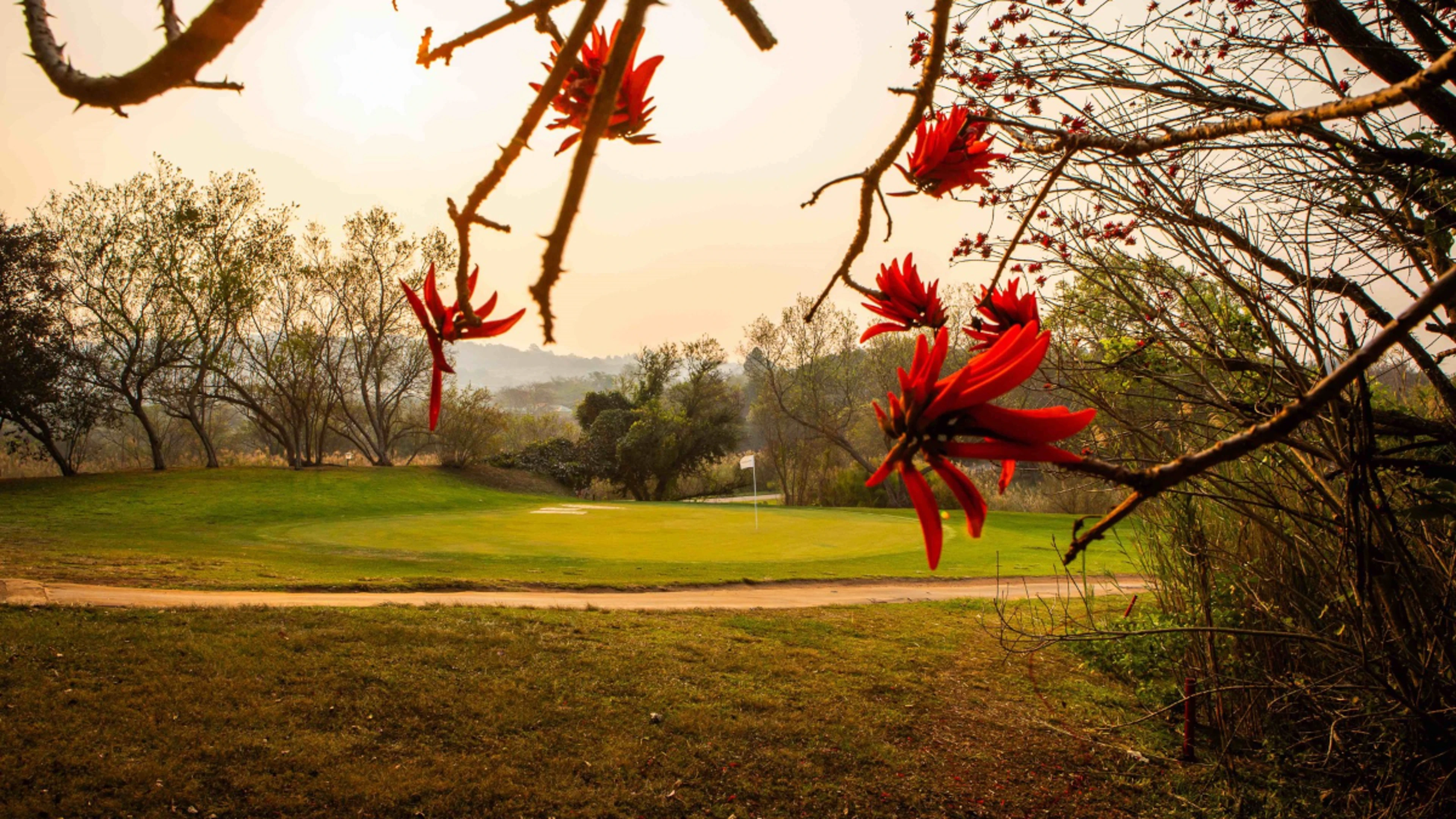 Sunshine Tour celebrates Gary Player’s legacy