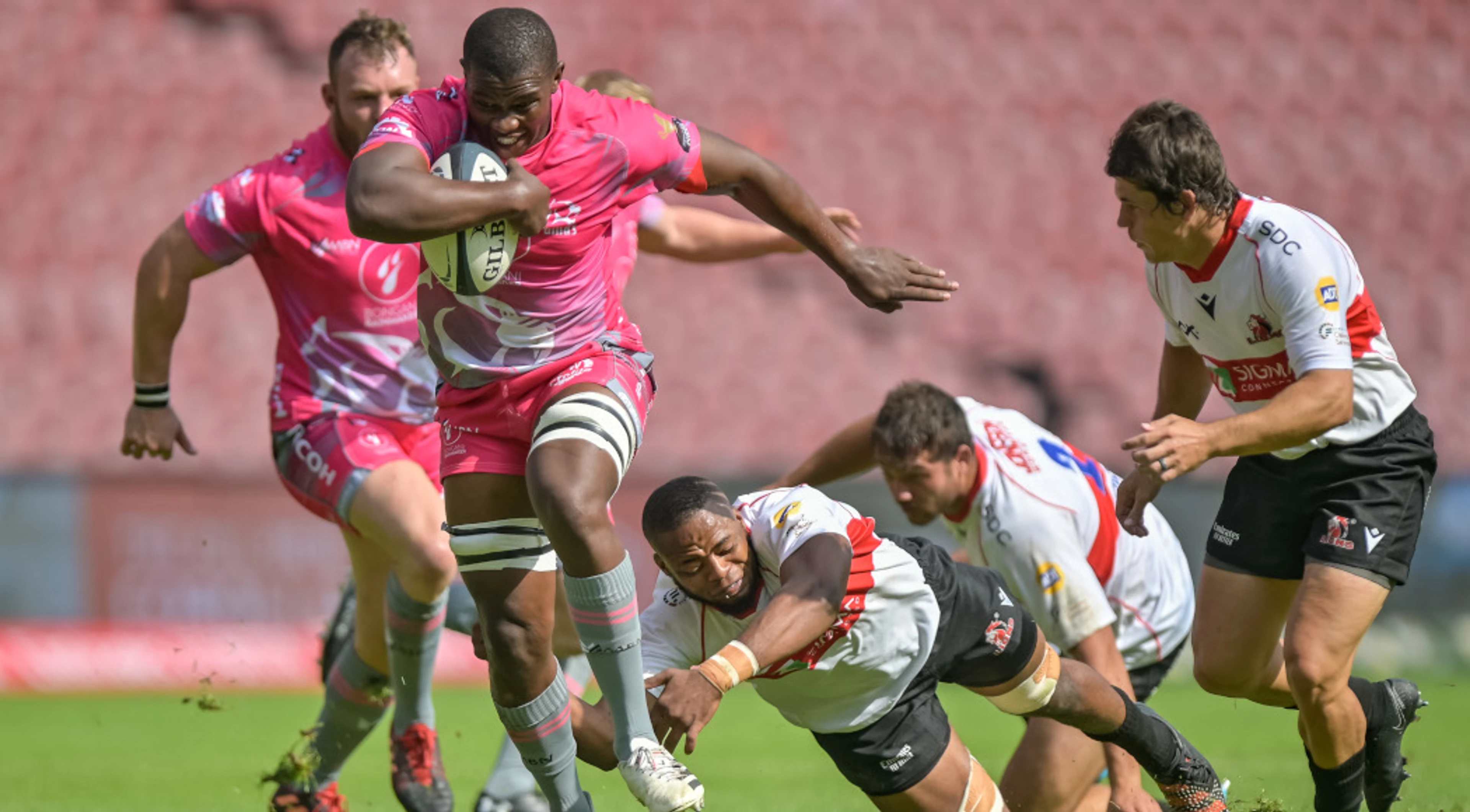 Stiglingh starts for Pumas