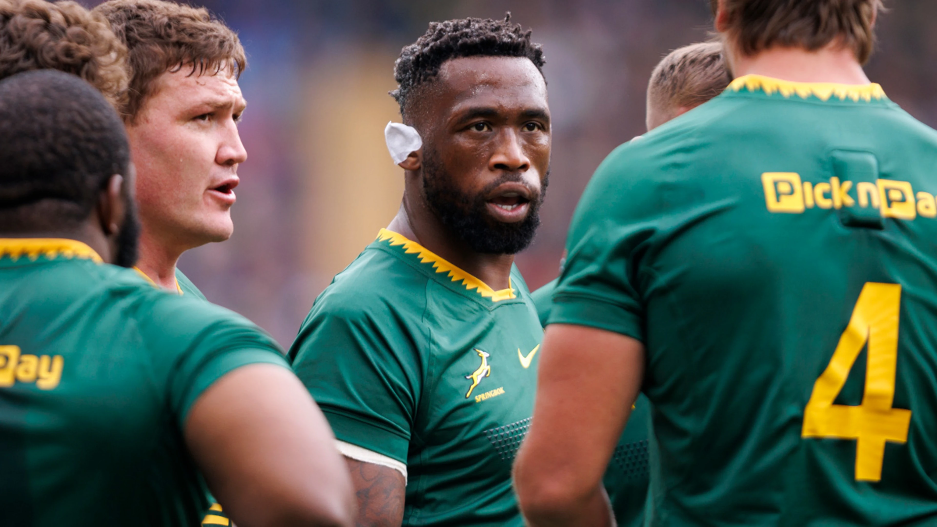 No room for old scars as Springboks prepare for Japan battle