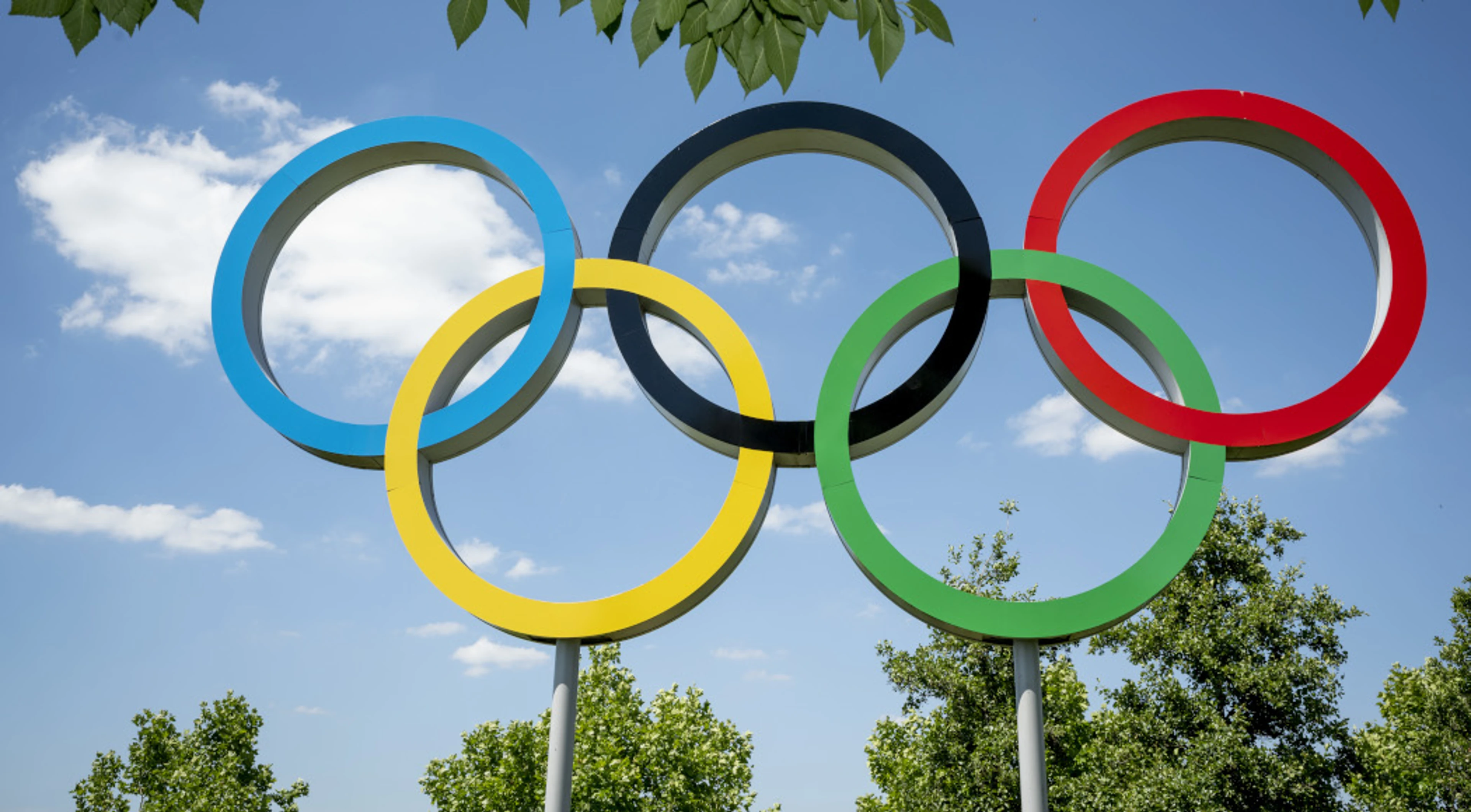 Smith unanimously re-elected as president of Canadian Olympic Committee