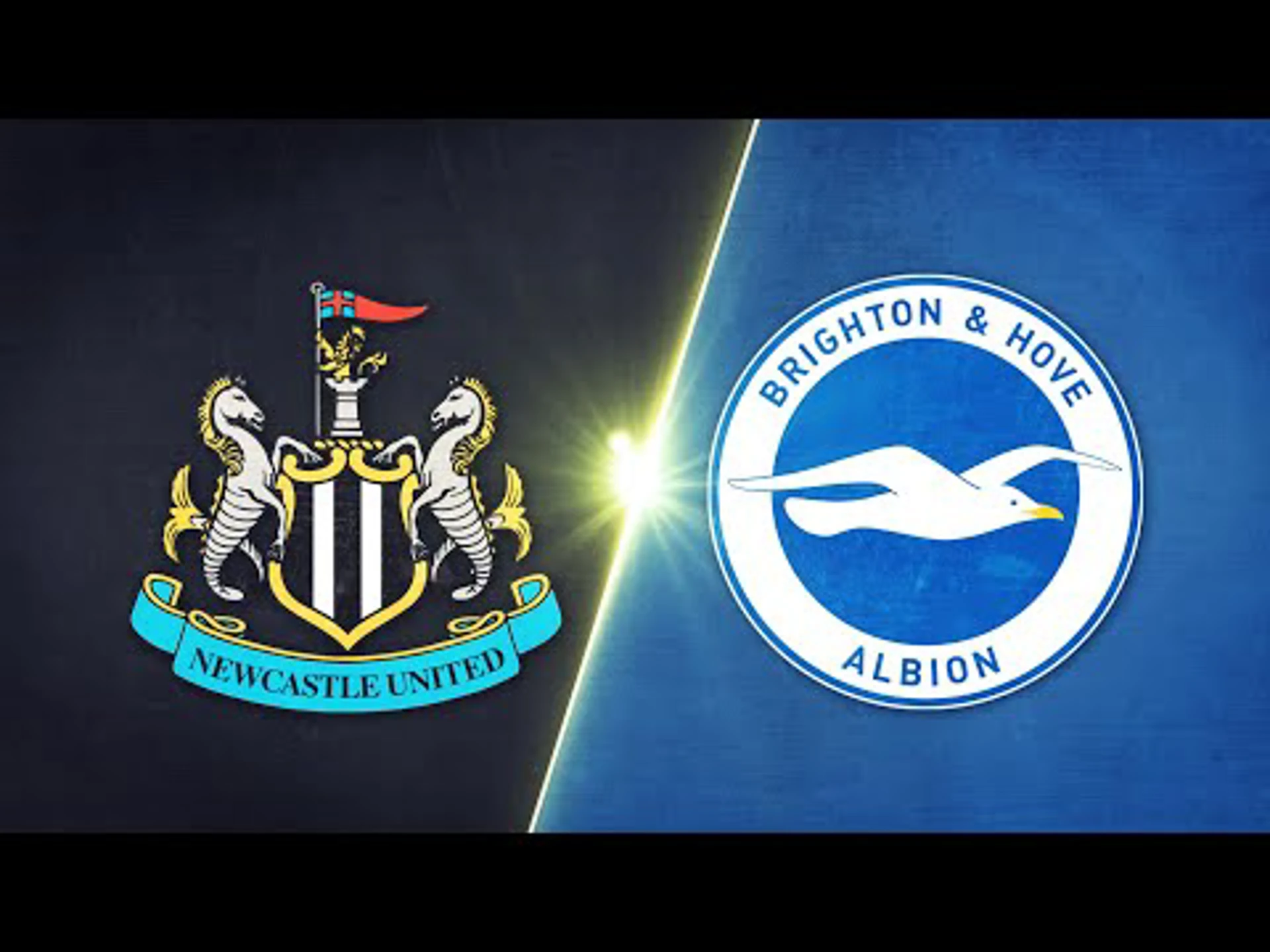 Newcastle v Brighton | 90 in 90 | Premier League | Highlights