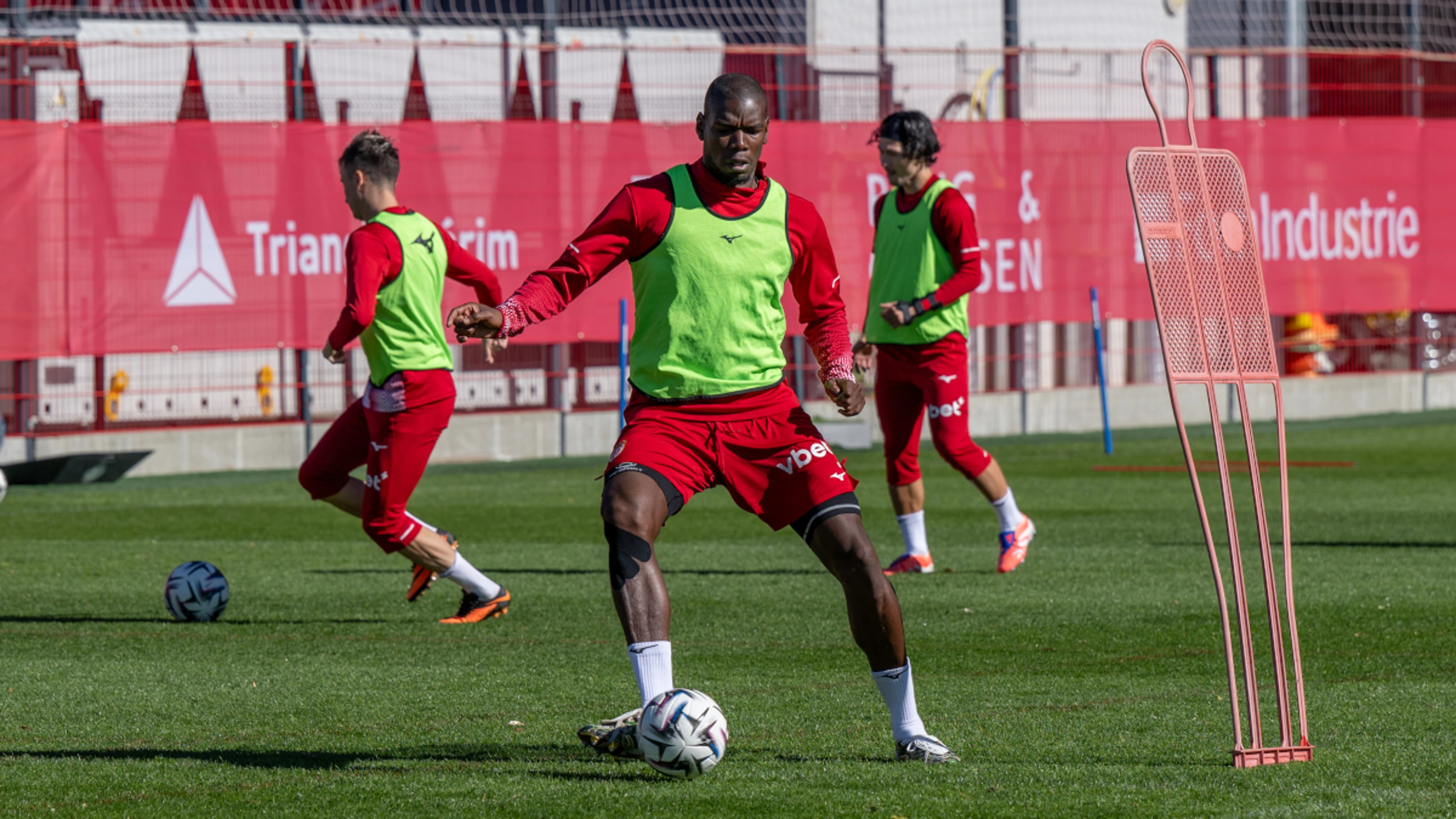 Pogba still 'has the qualities', says Monaco coach Pocognoli