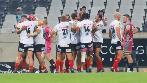 Cheetahs secure home semi with win over Pumas