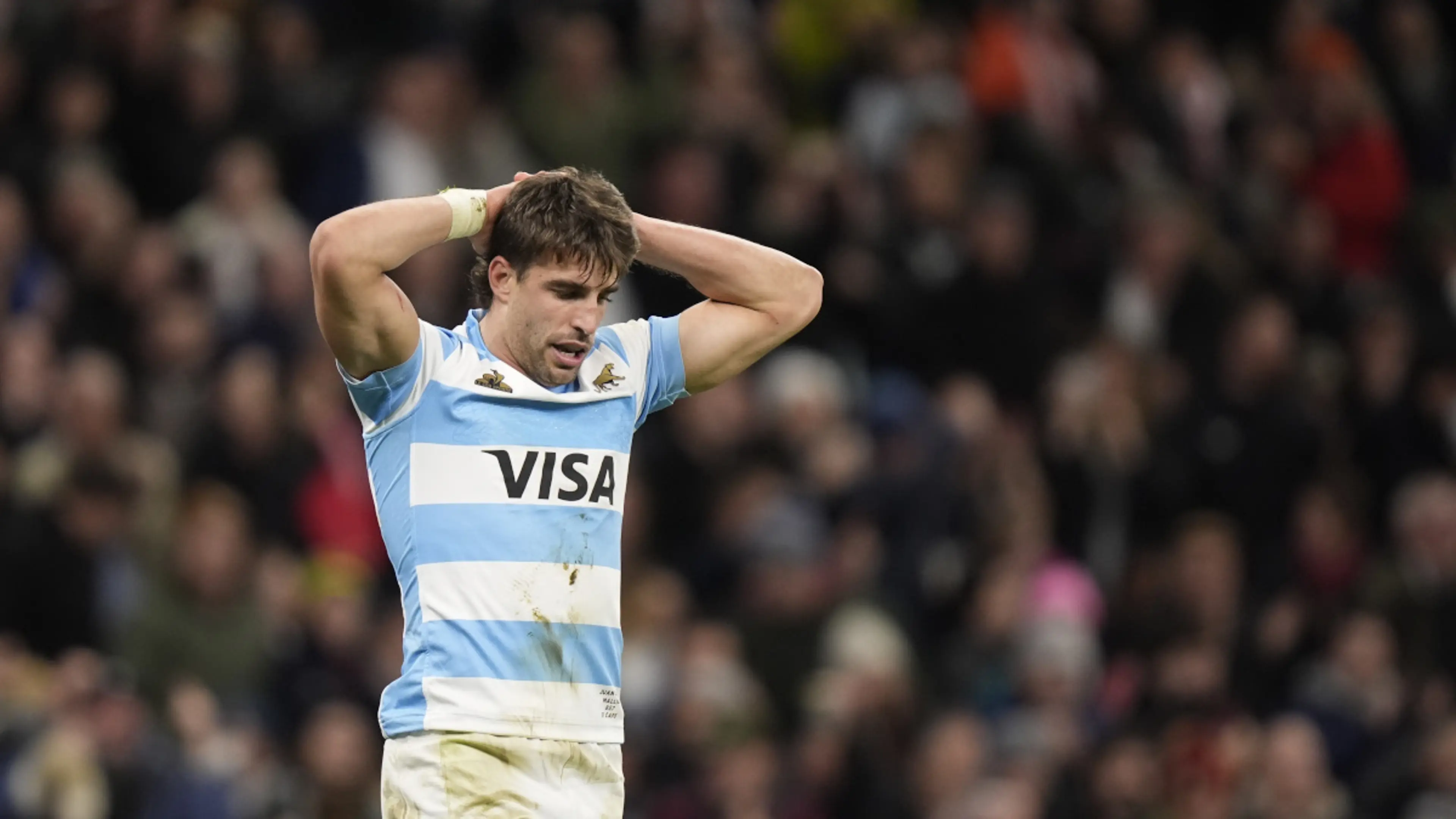 Argentina confirm ligament damage for fullback
