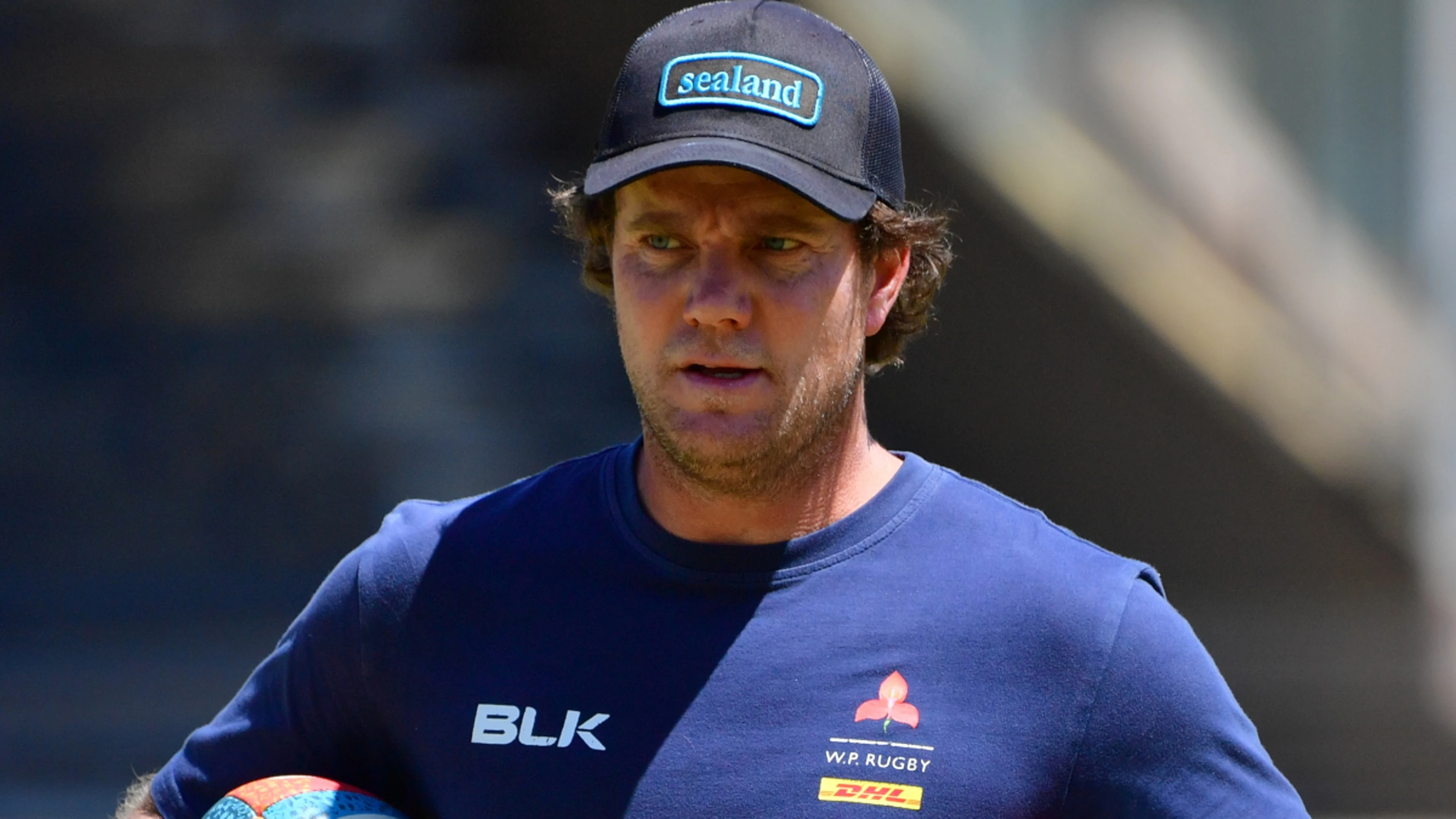 Stormers feel Loftus confirmed momentum is with them