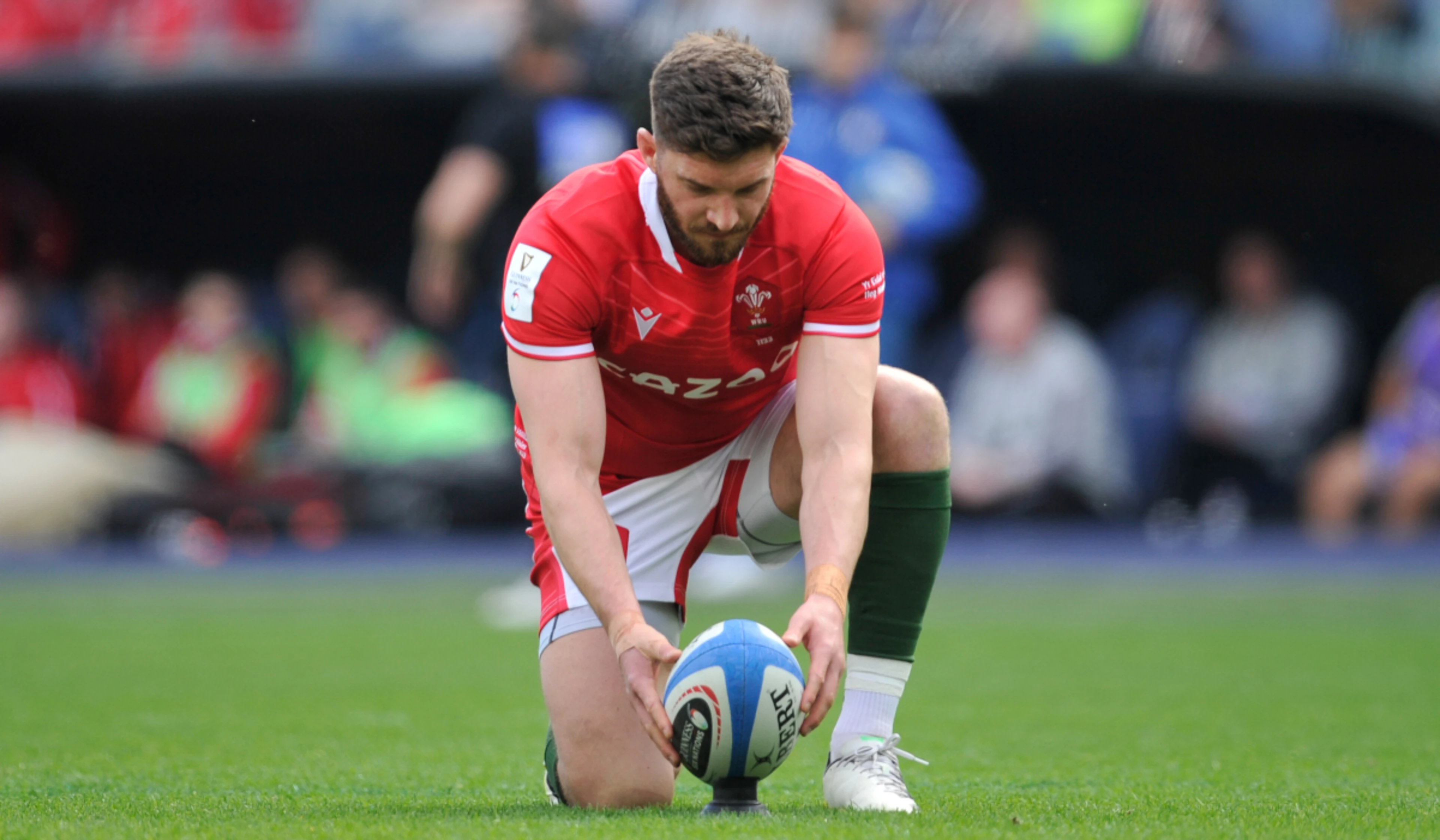 Wales to host rugby world champions South Africa in Autumn Nations