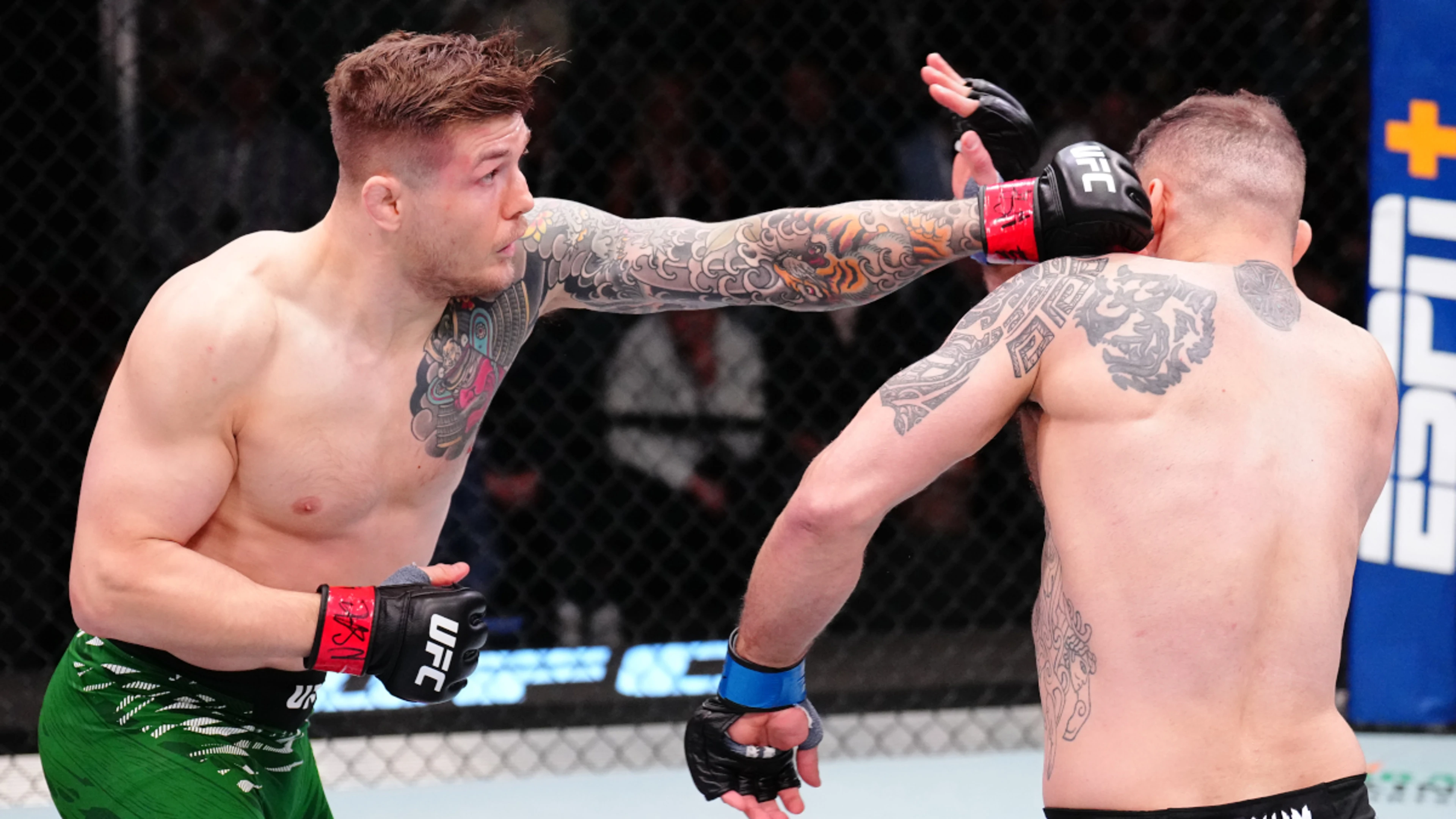 Dolidze gets sweet revenge over Vettori