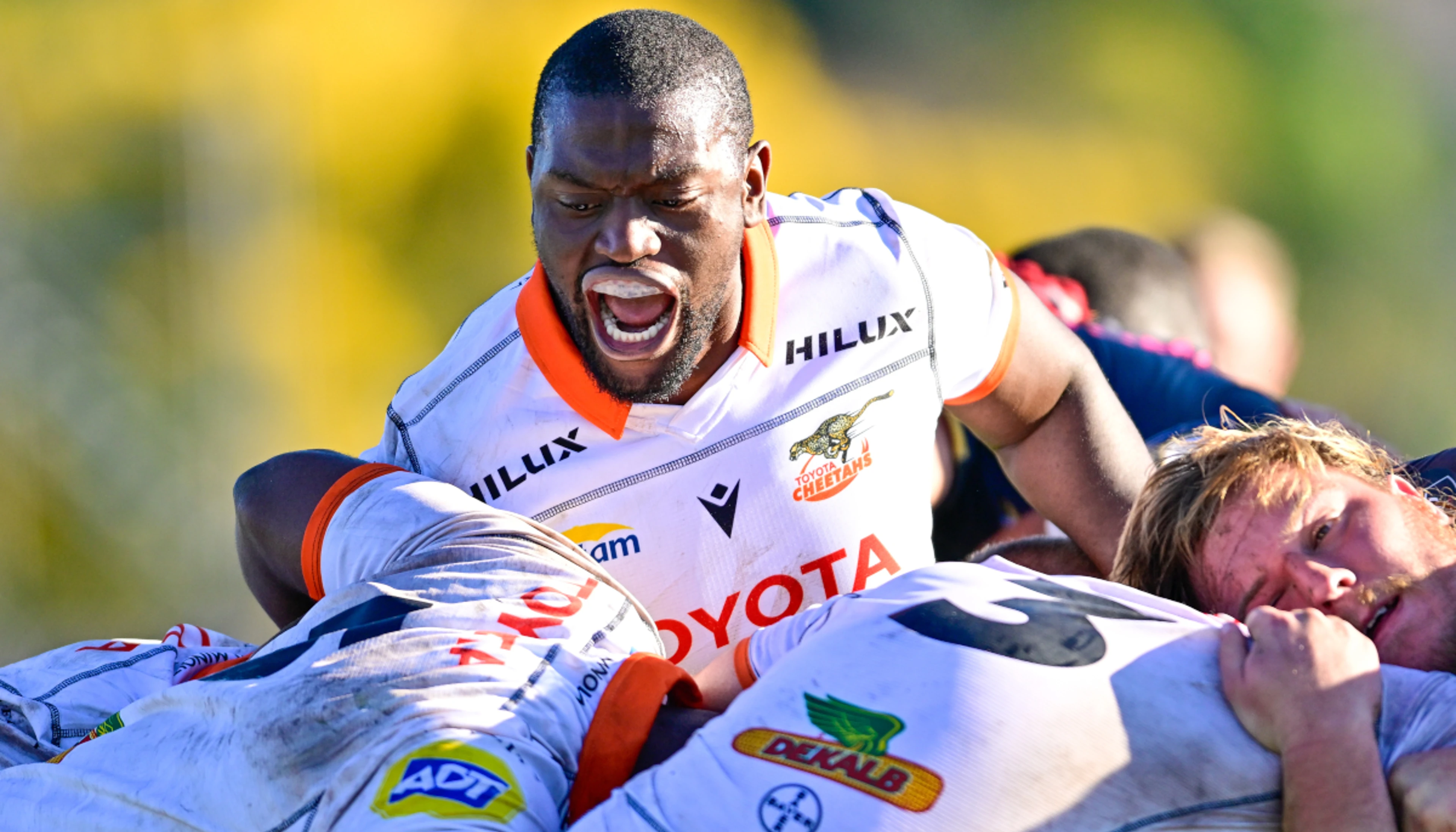 Currie Cup serves more spicy fixtures