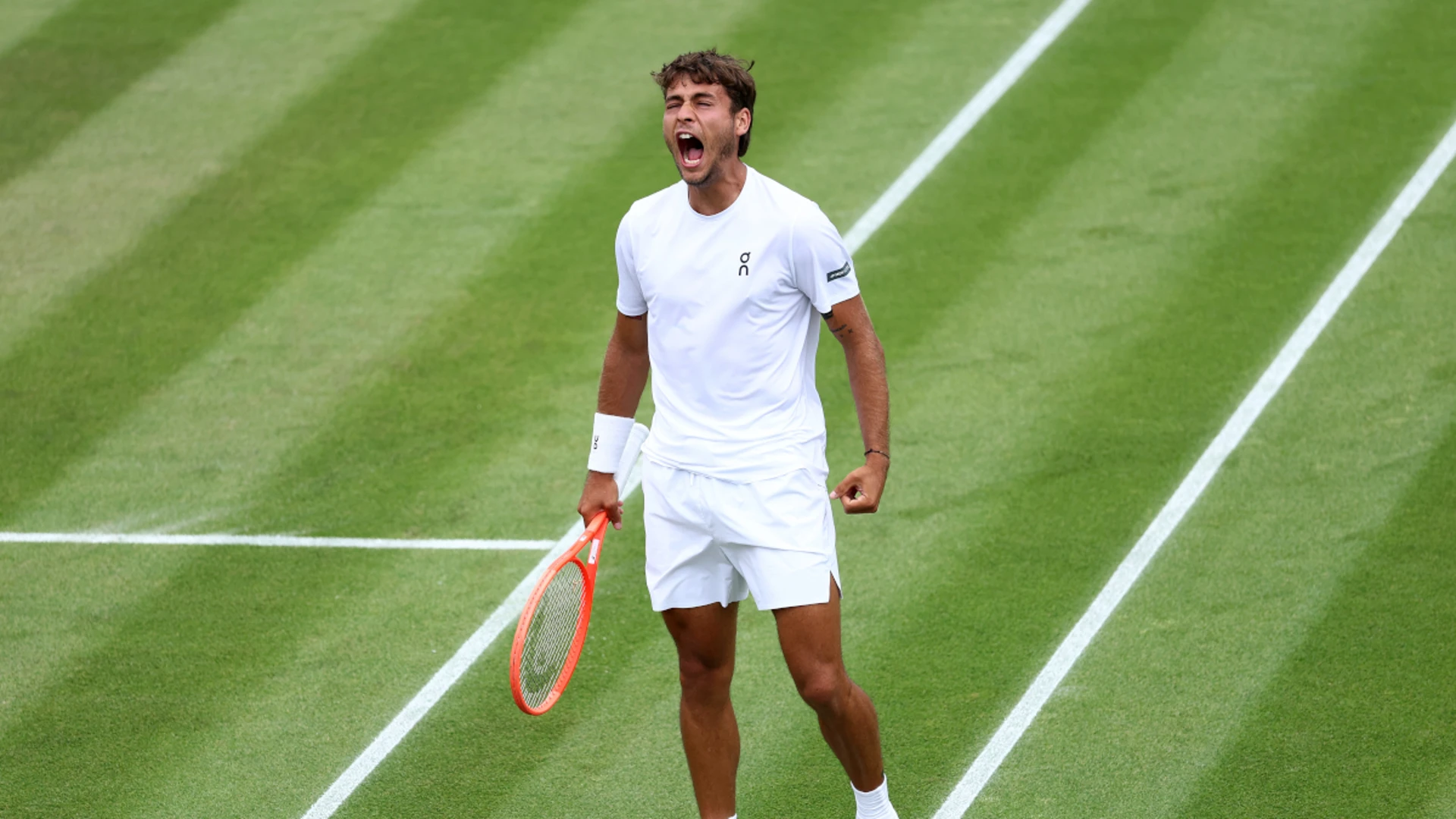 Wimbledon's underdogs enjoy their week in the sun