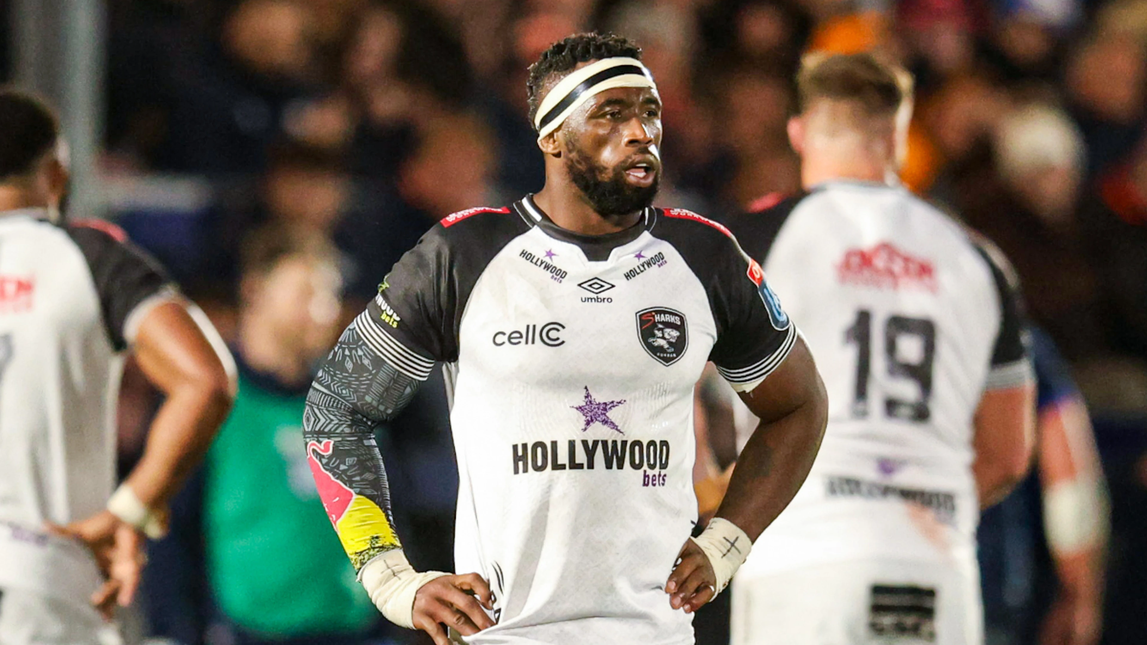 Sharks confident but they have massive respect for Bulls