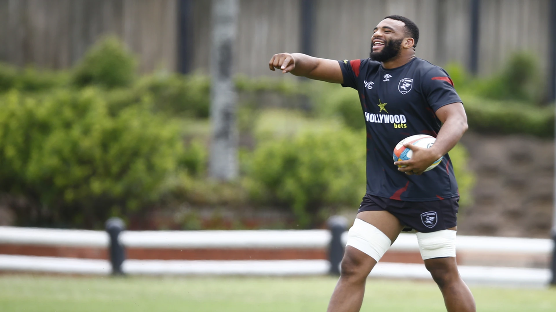 SEEKING STABILITY: Sharks look to go back-to-back