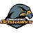 Zimbabwe Goshawks logo