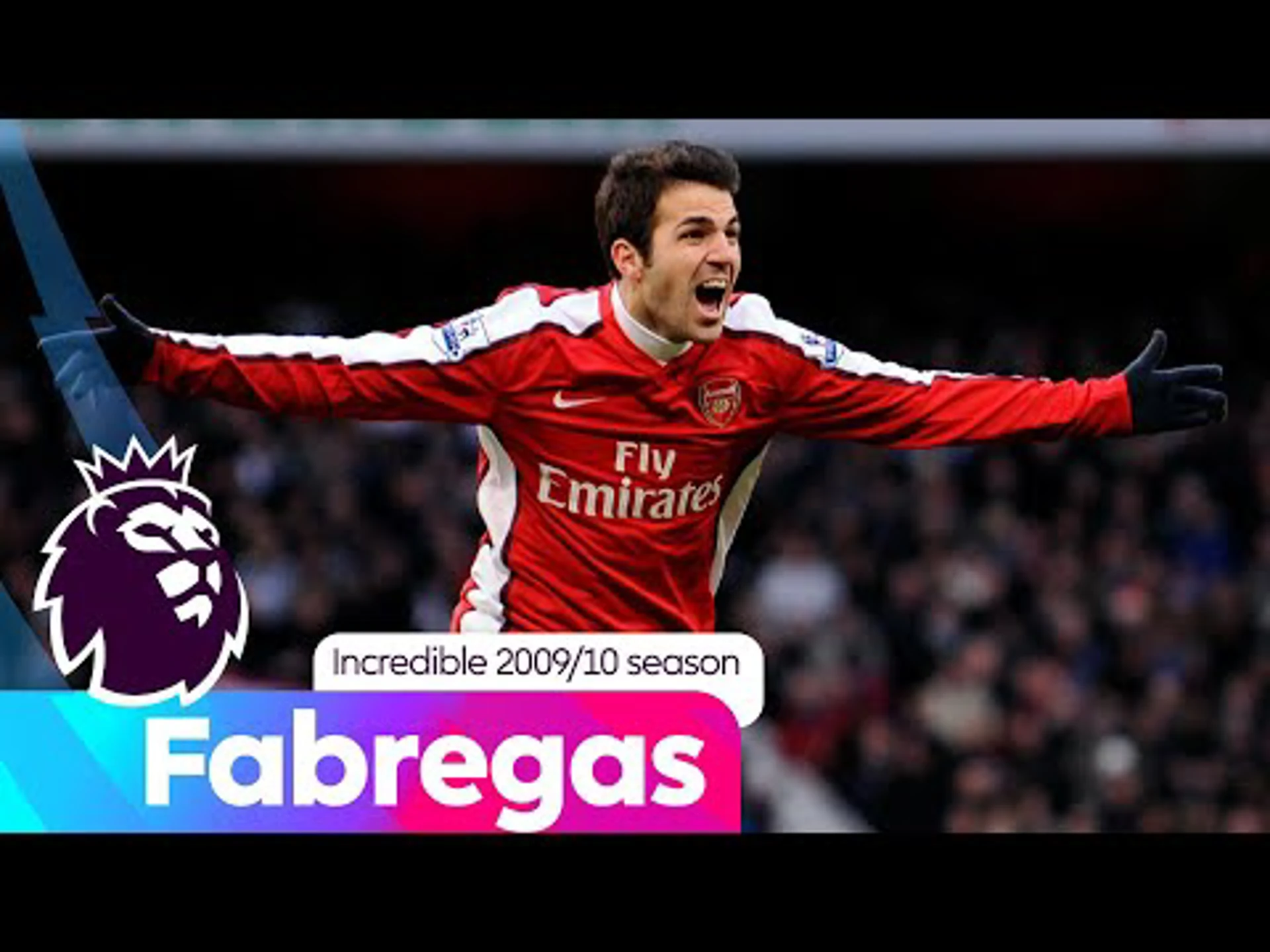 Cesc Fabregas | 2009/10 Season | Premier League