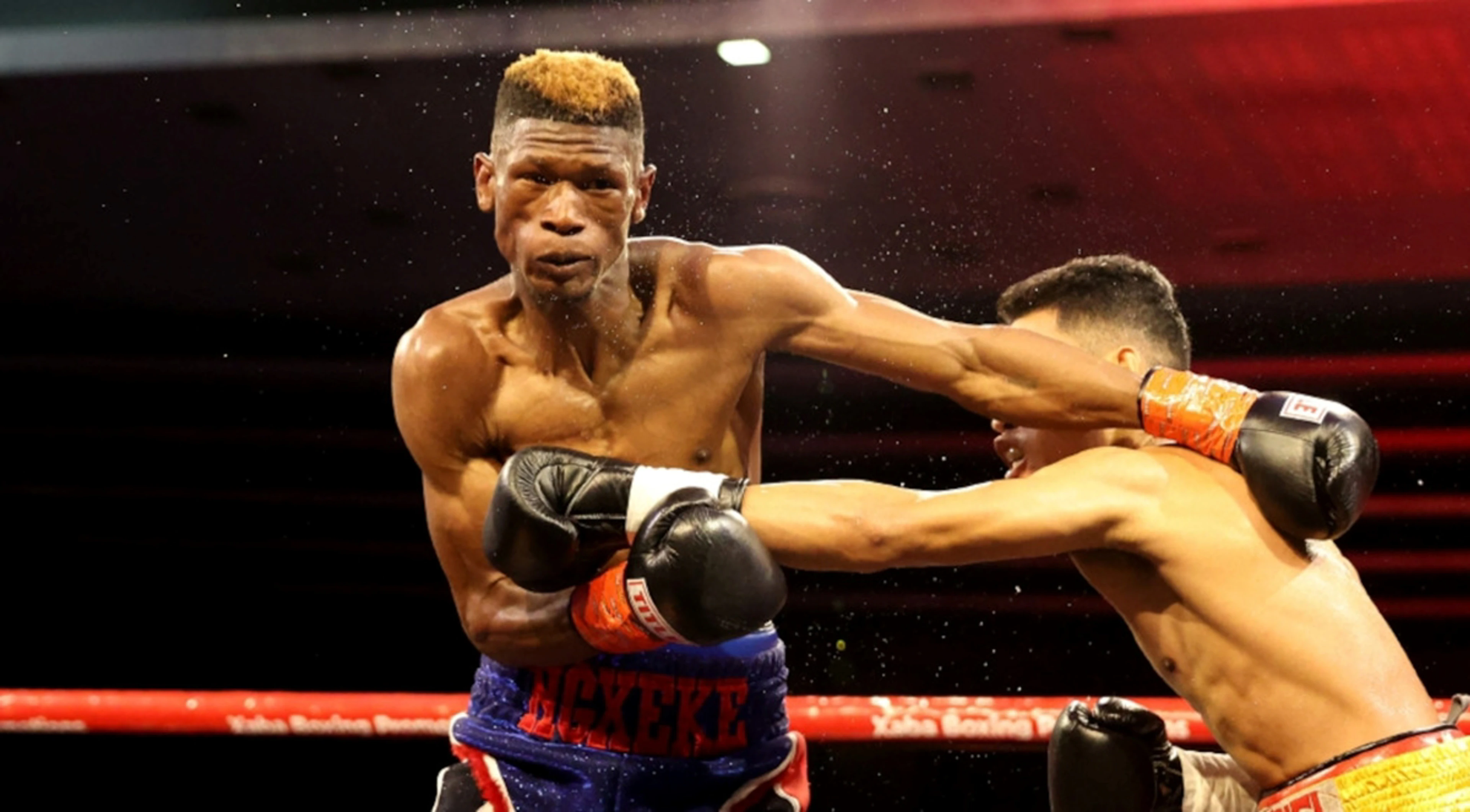 Ngxeke wins vacant IBO Intercontinental title