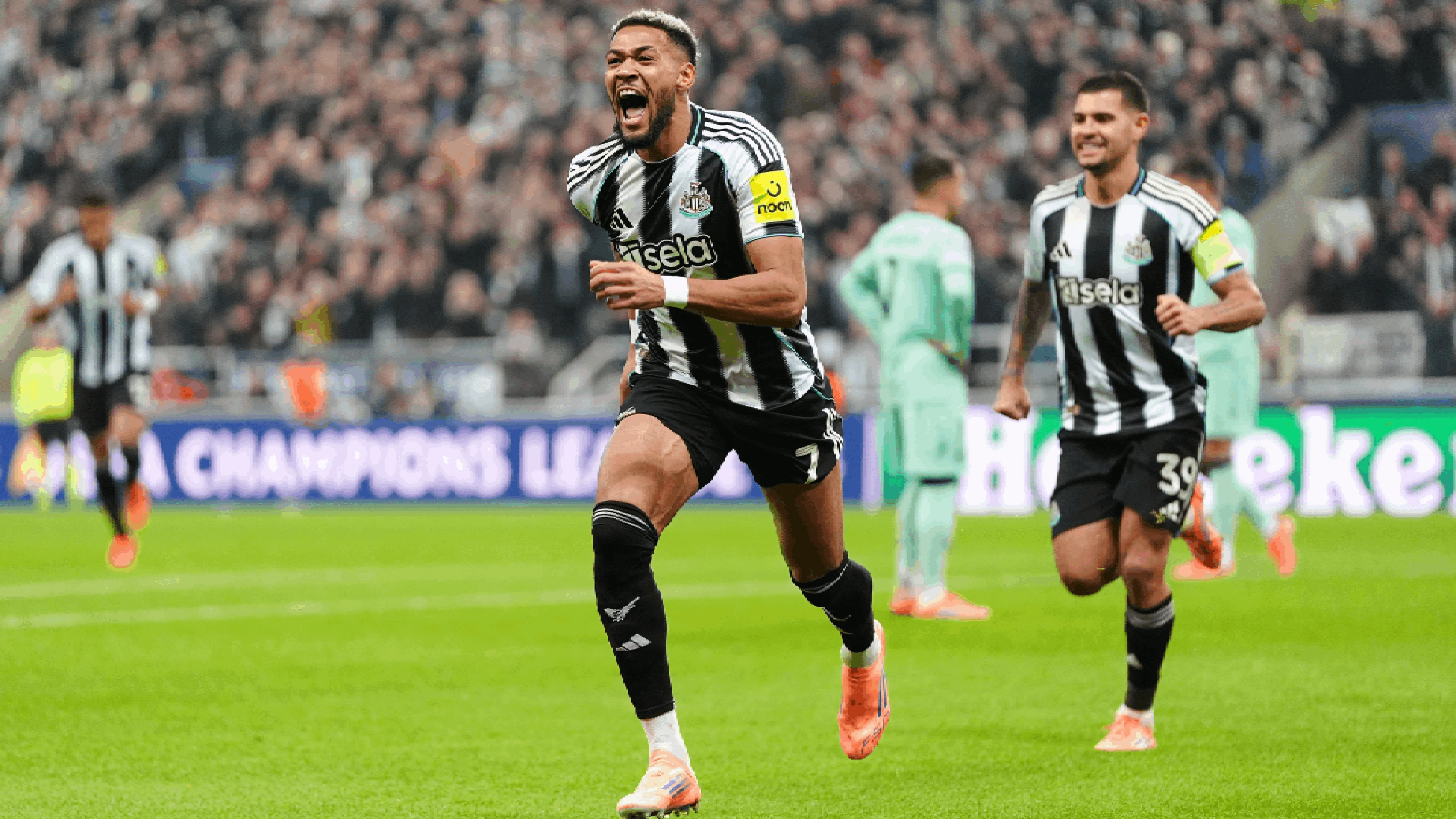 Newcastle United v Athletic Bilbao | Match Highlights | 	 UEFA Champions League